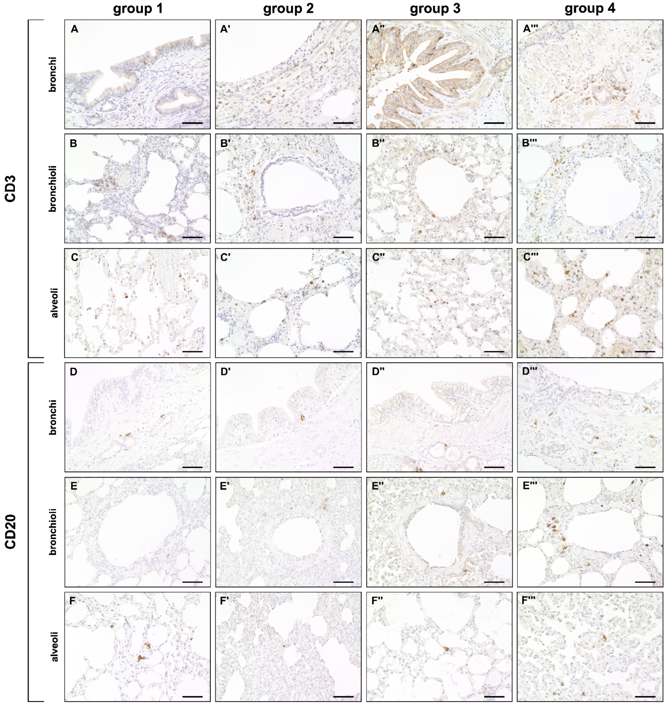 Ijms 23 10019 g005 Ijms 23 10019 g005