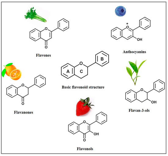 IJMS Free FullText Protective Effects of Flavonoids against