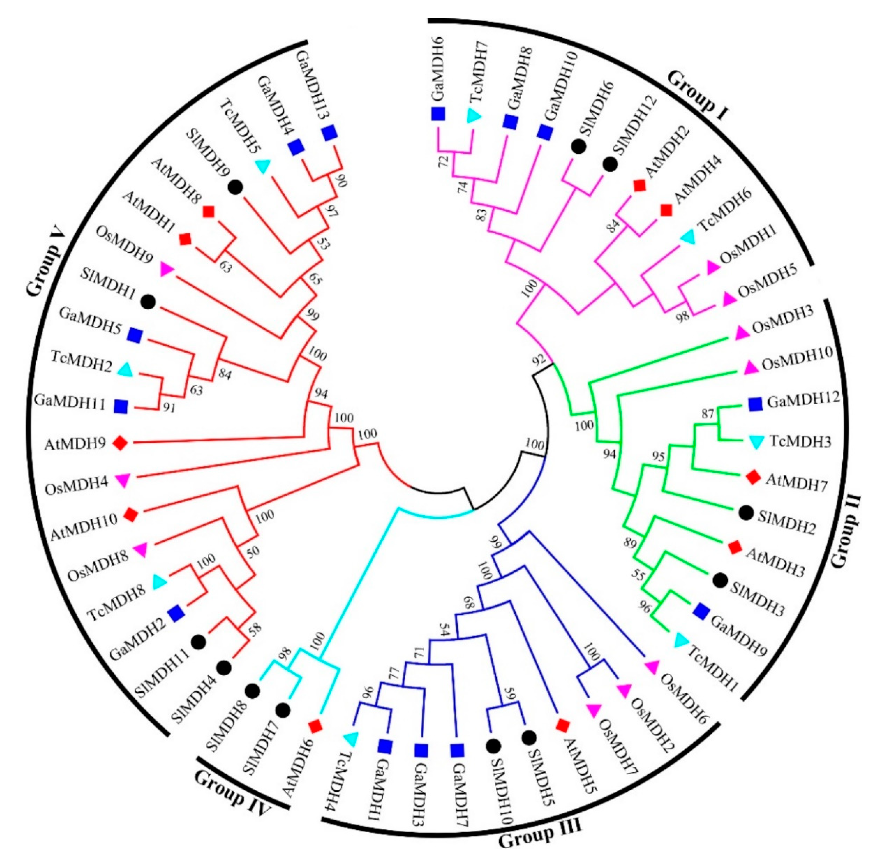 Ijms 23 10028 g002 Ijms 23 10028 g002