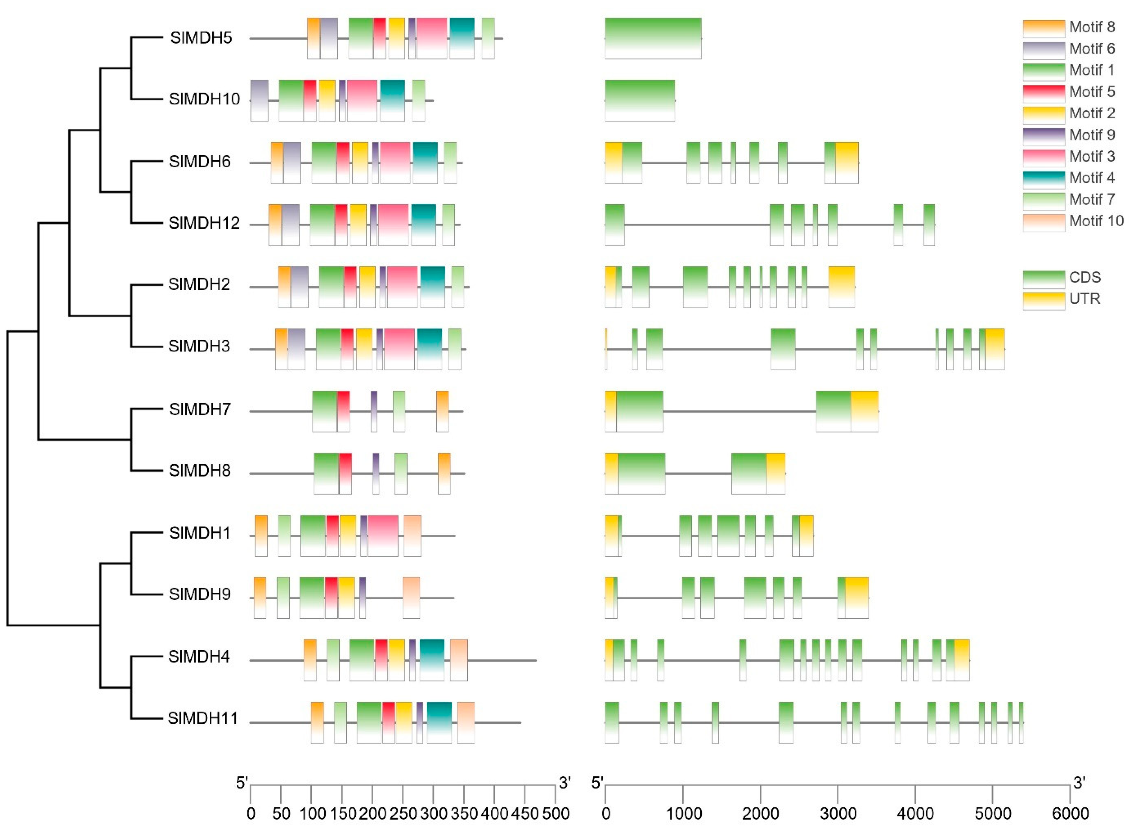 Ijms 23 10028 g003 Ijms 23 10028 g003
