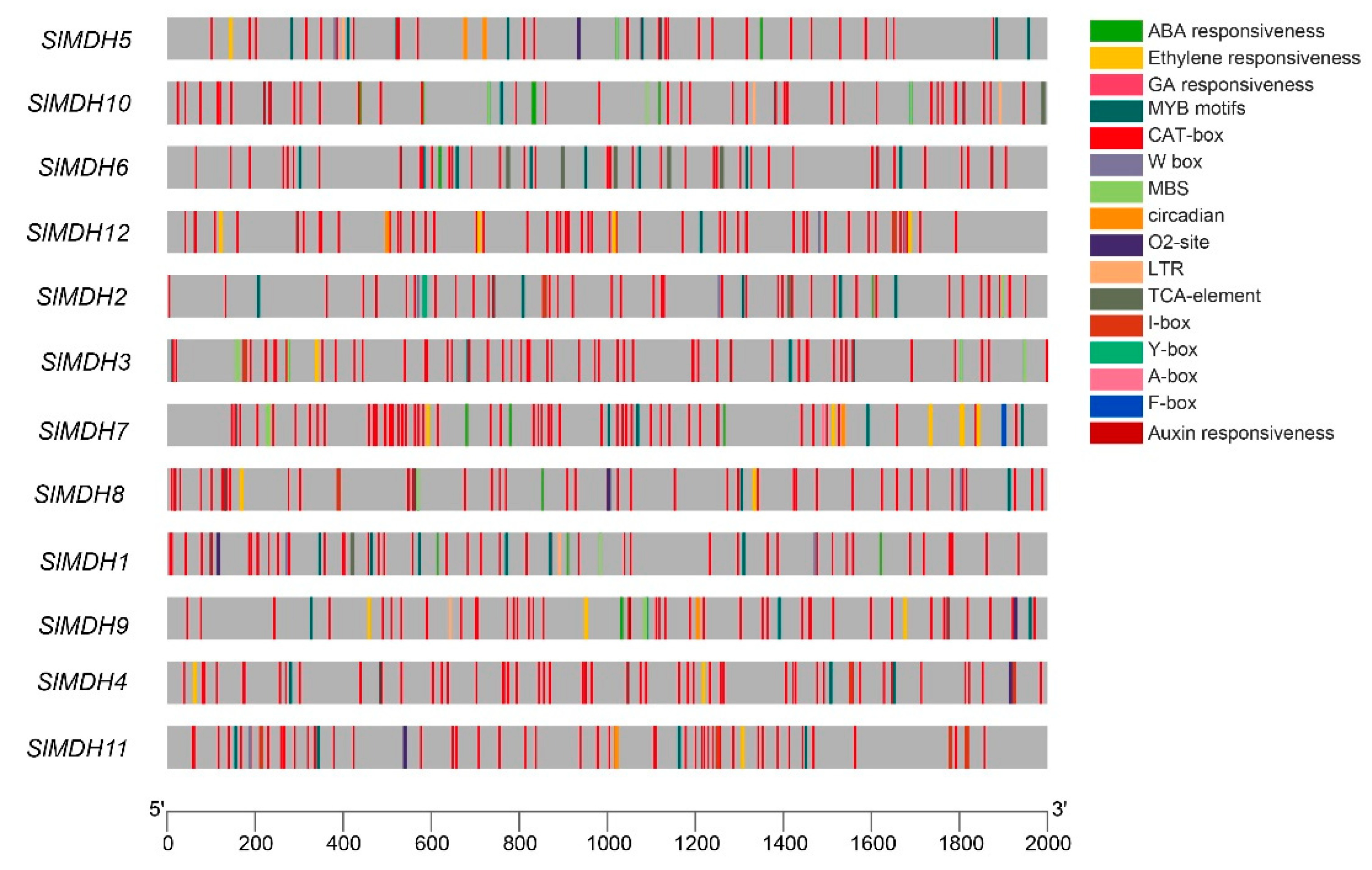 Ijms 23 10028 g004 Ijms 23 10028 g004