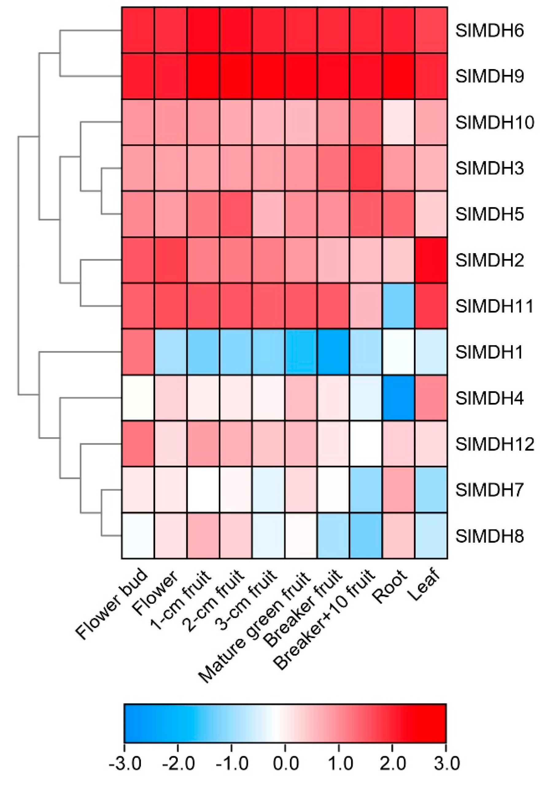 Ijms 23 10028 g005 Ijms 23 10028 g005
