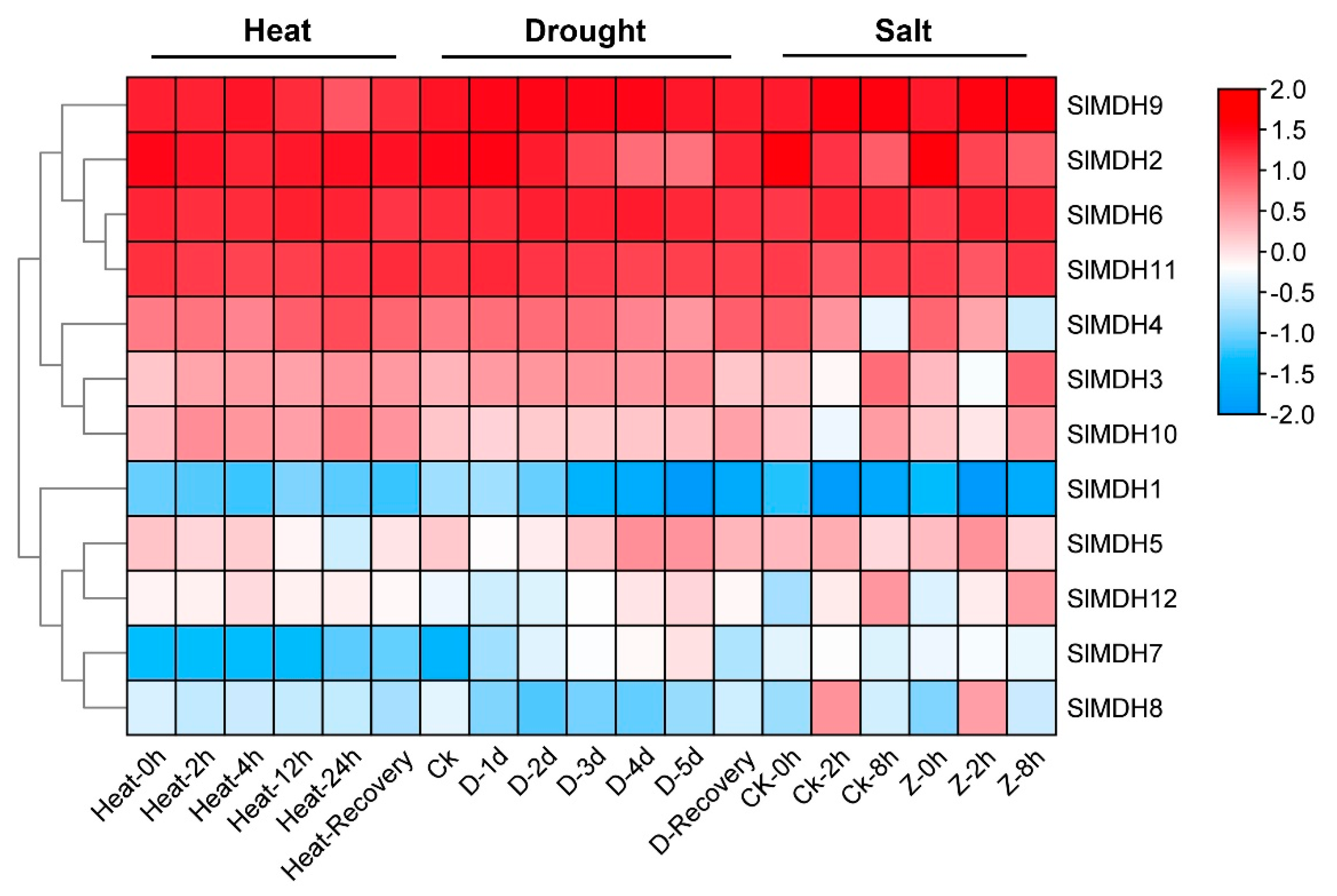 Ijms 23 10028 g006 Ijms 23 10028 g006