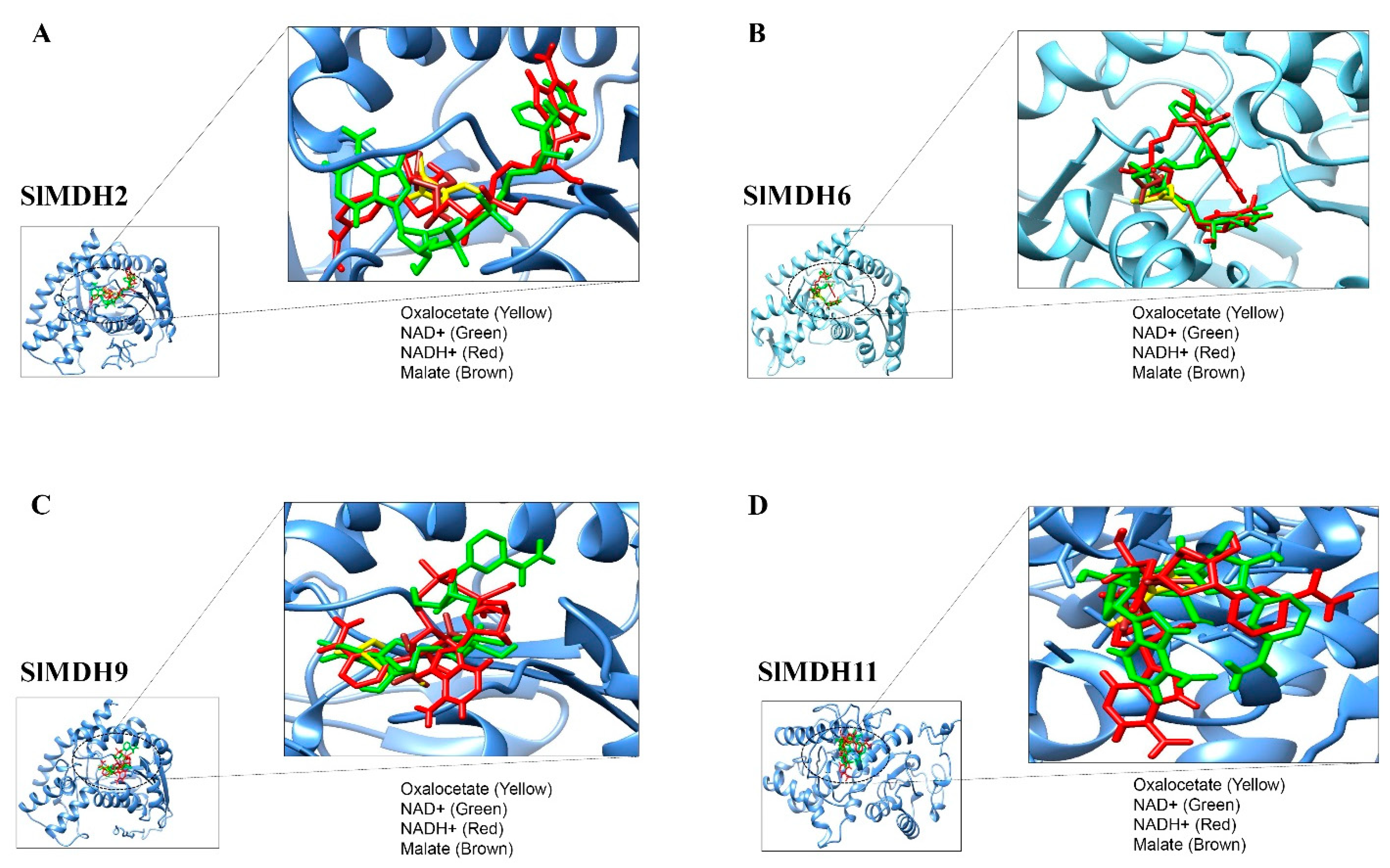 Ijms 23 10028 g008 Ijms 23 10028 g008