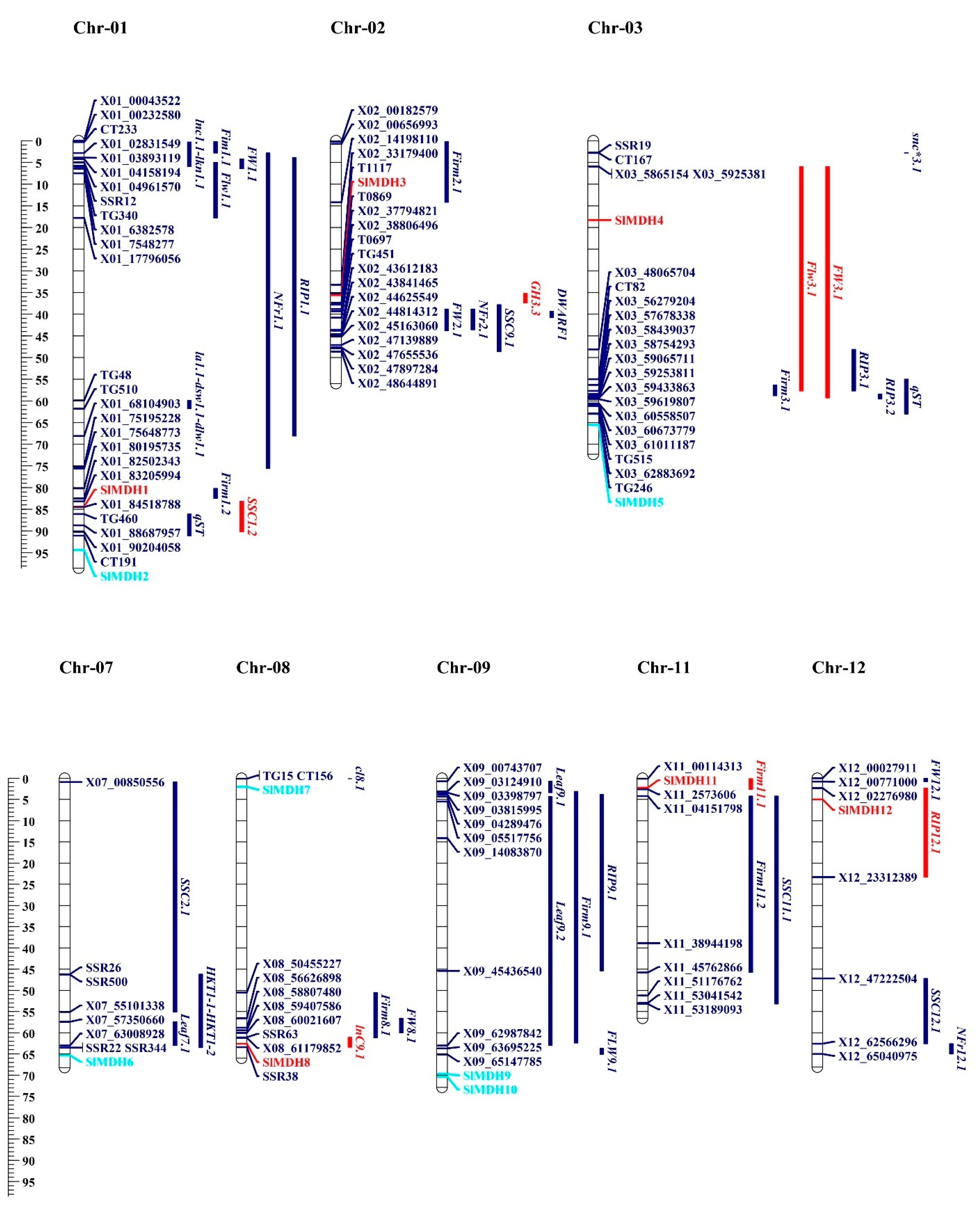 Ijms 23 10028 g009 Ijms 23 10028 g009