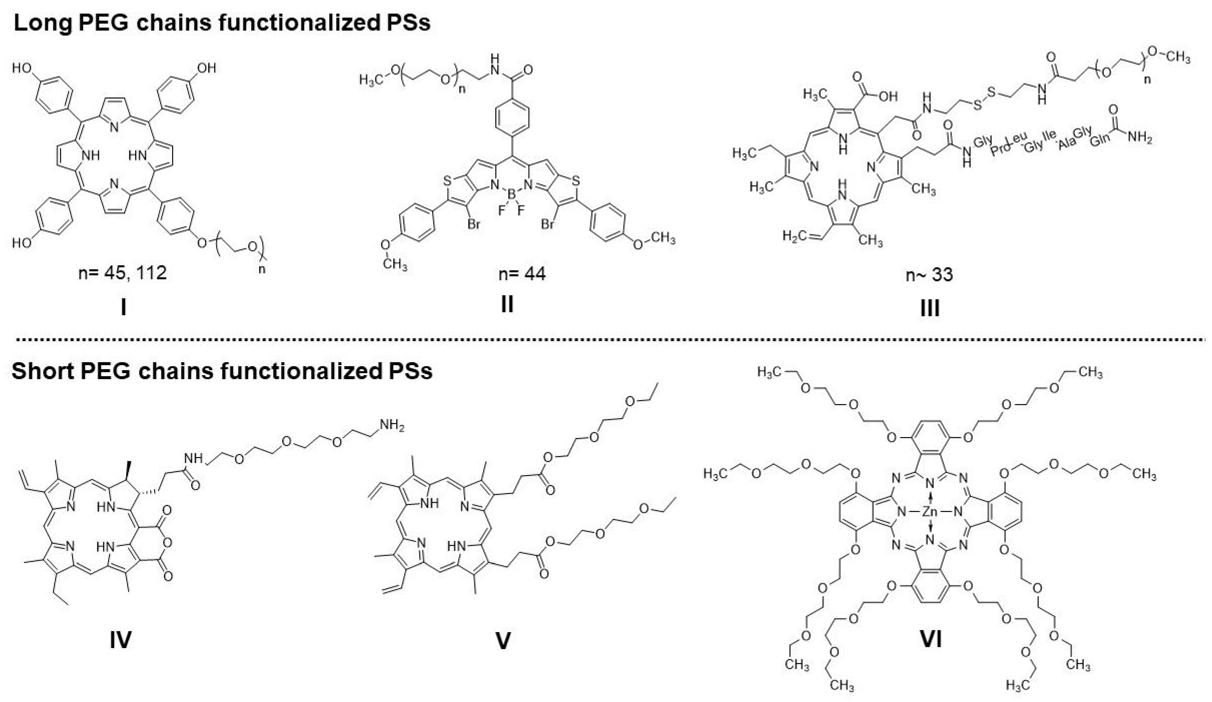 Ijms 23 10029 g001 Ijms 23 10029 g001