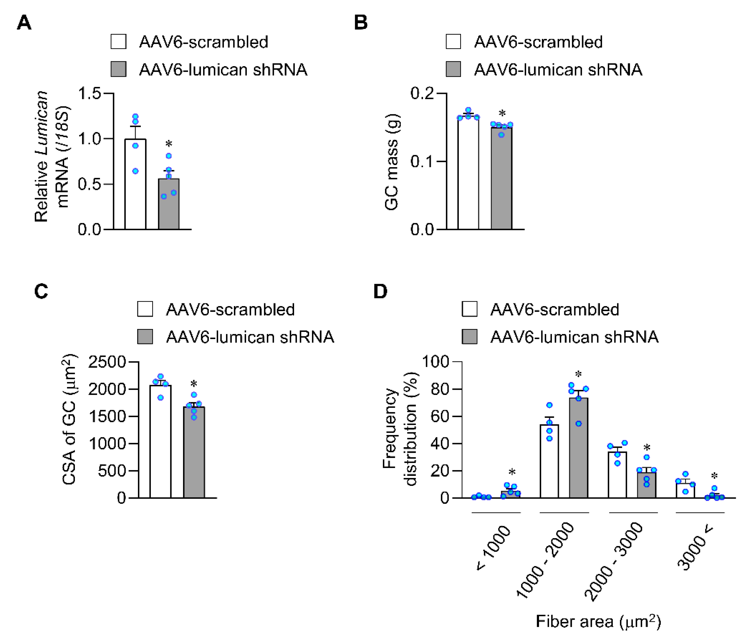 Ijms 23 10031 g004 550