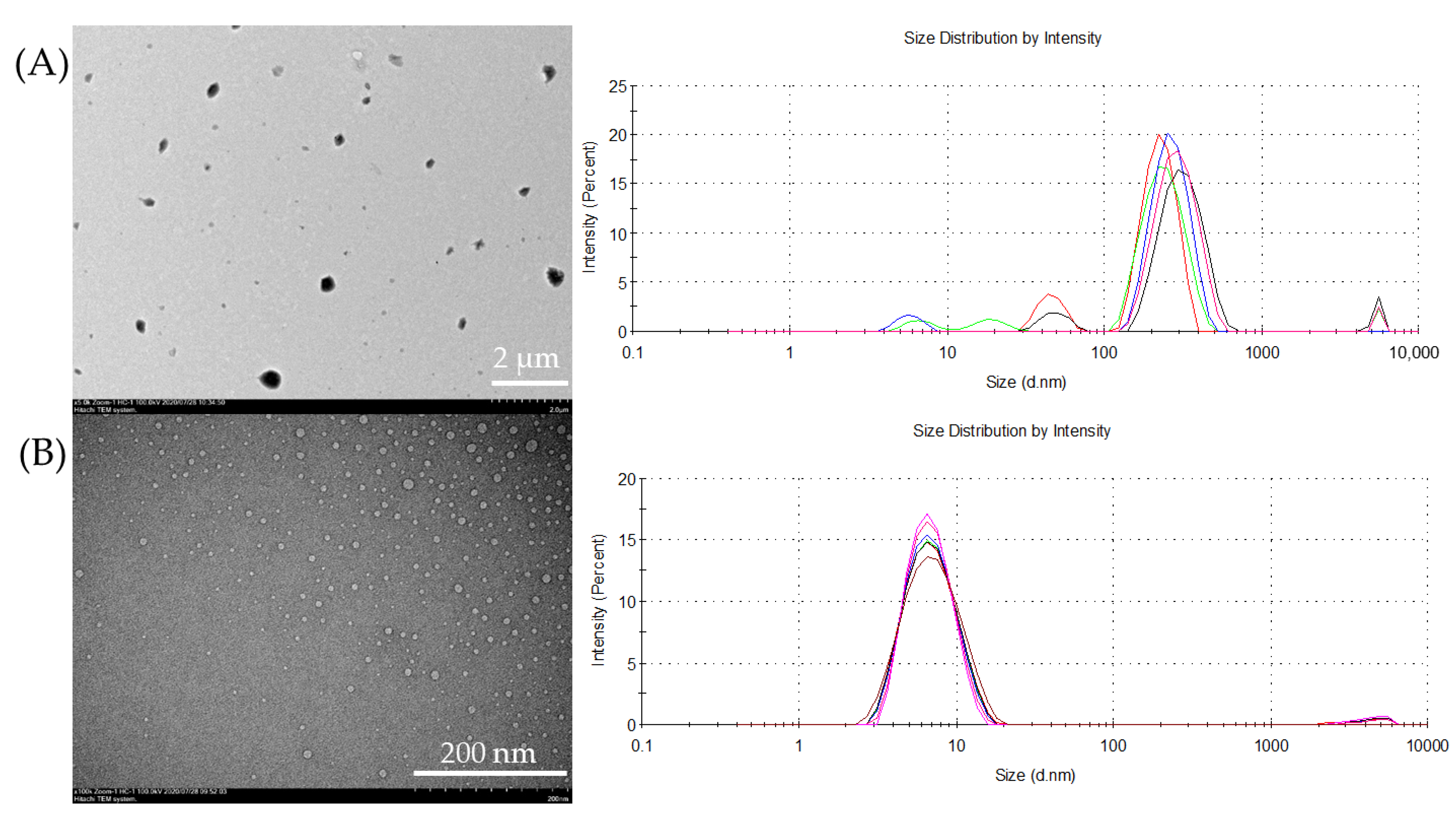 Ijms 23 10040 g001 Ijms 23 10040 g001