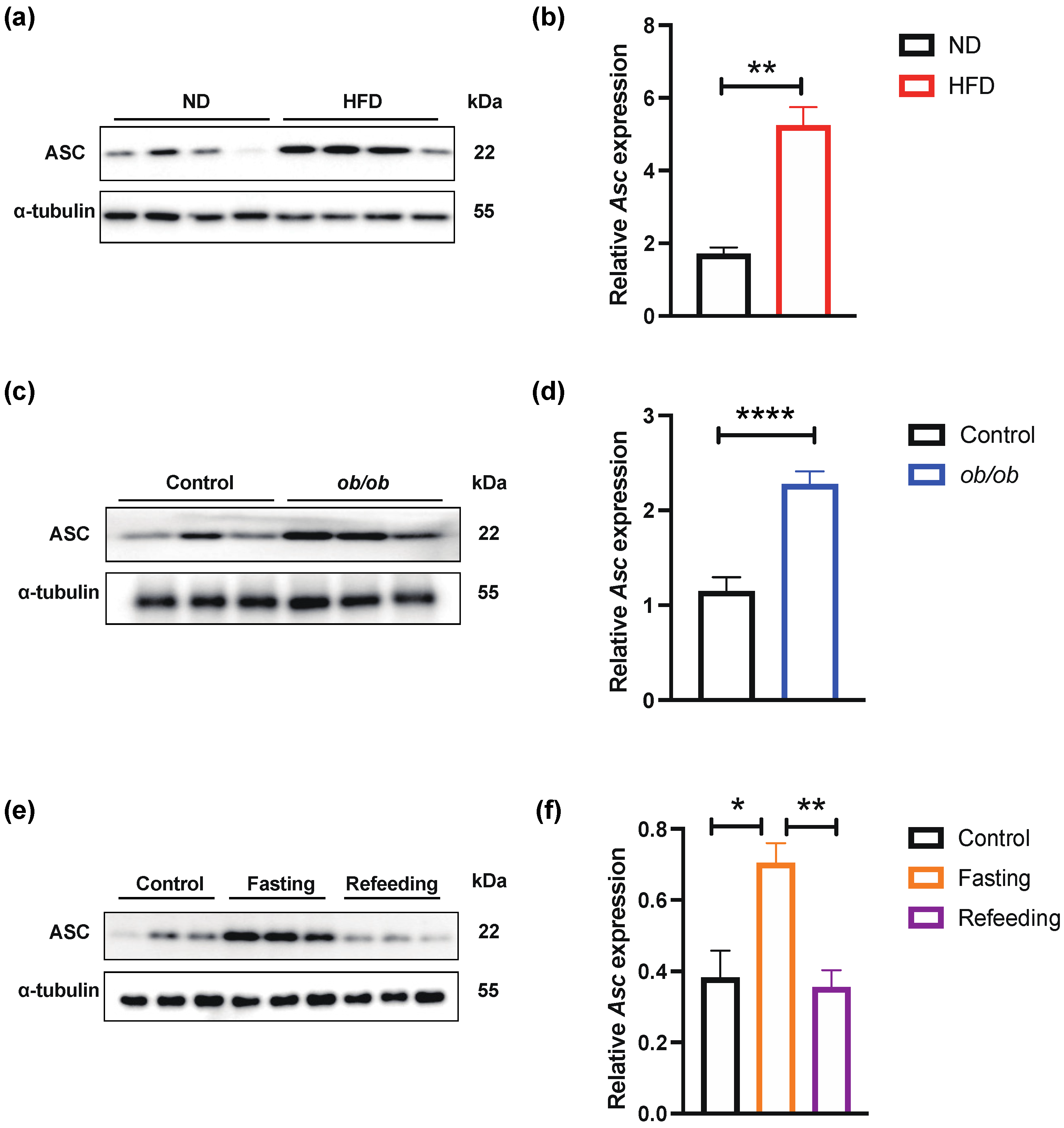 Ijms 23 10042 g001 550