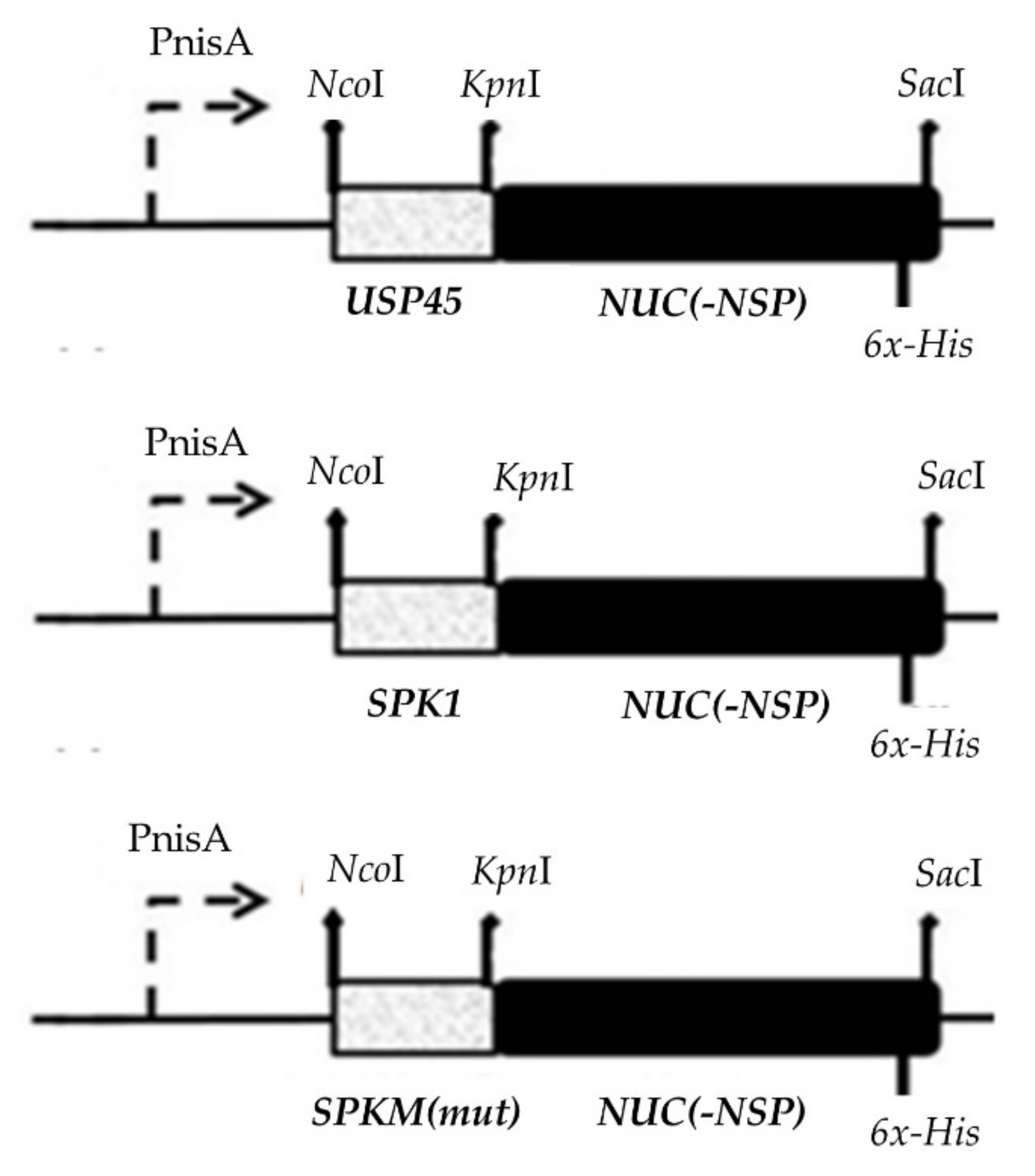 Ijms 23 10044 g006 550