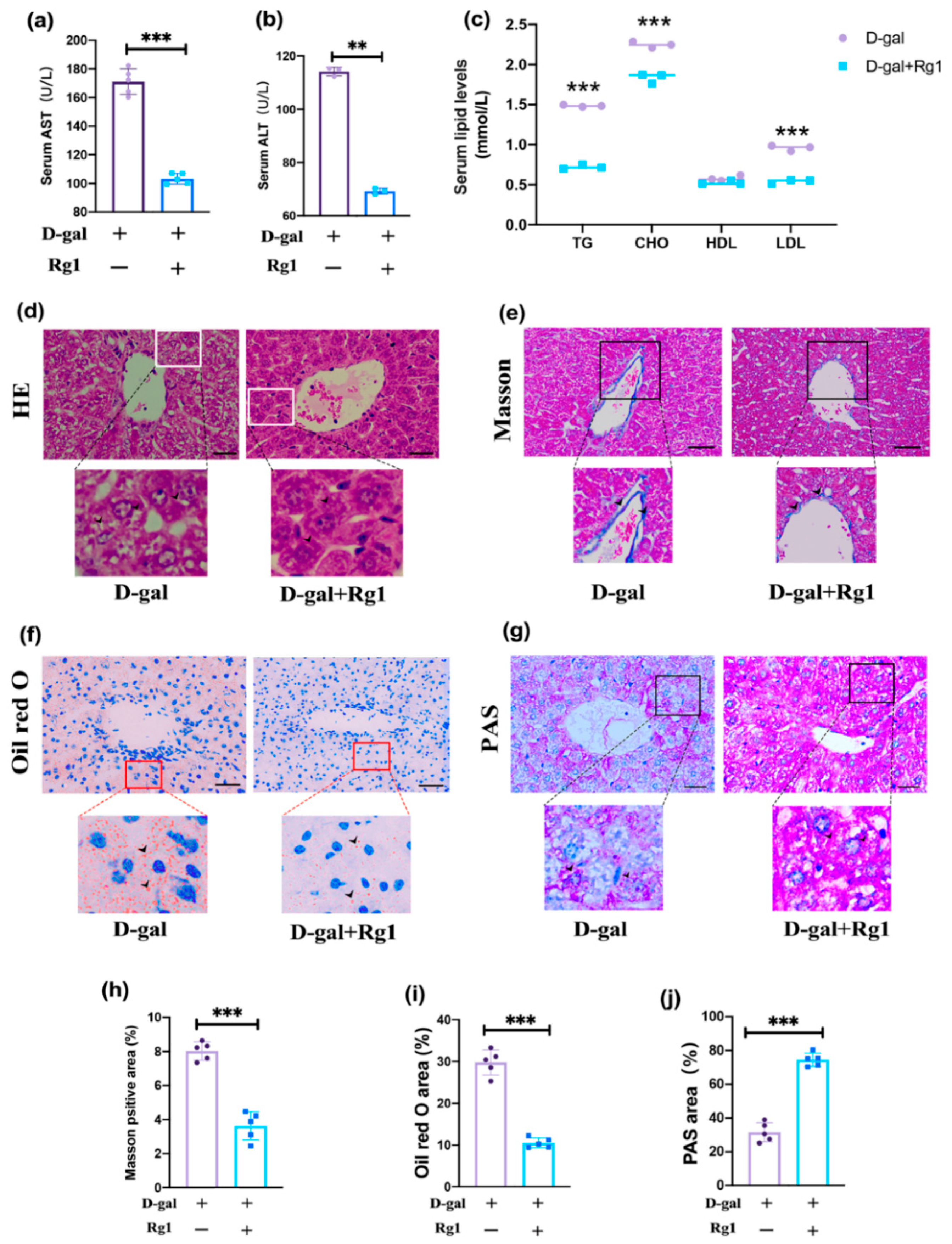 Ijms 23 10045 g002 550