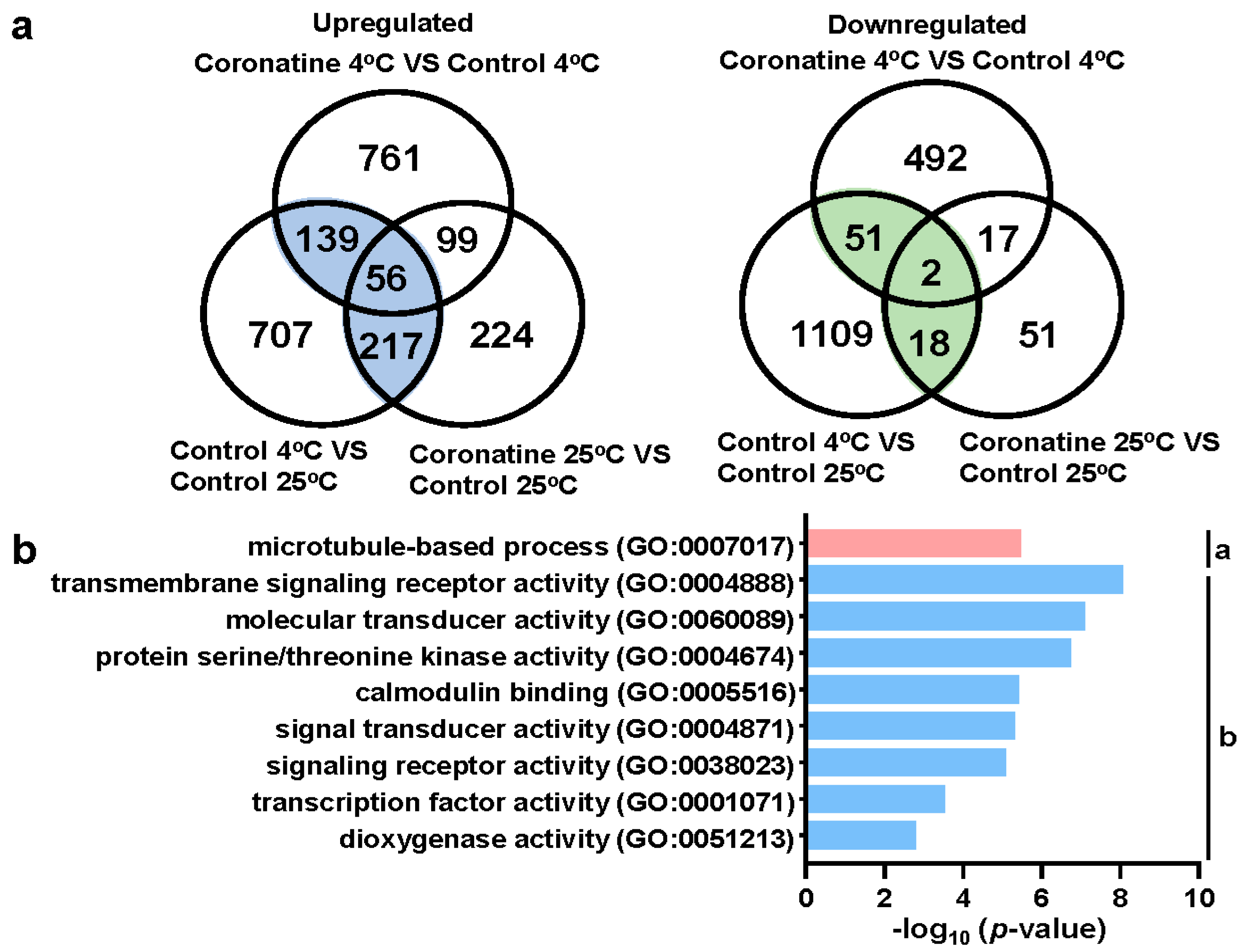 Ijms 23 10049 g004 550