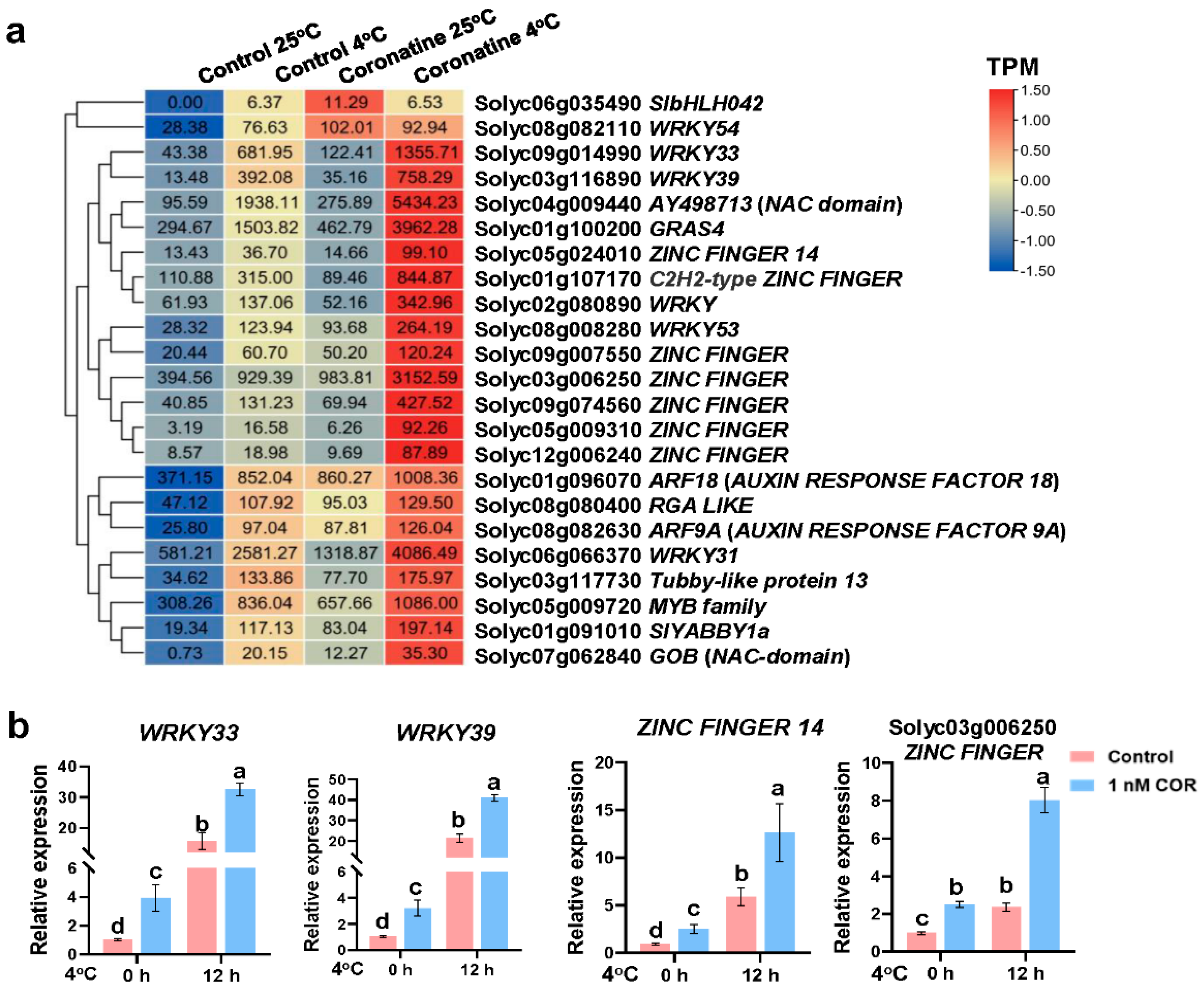 Ijms 23 10049 g005 550