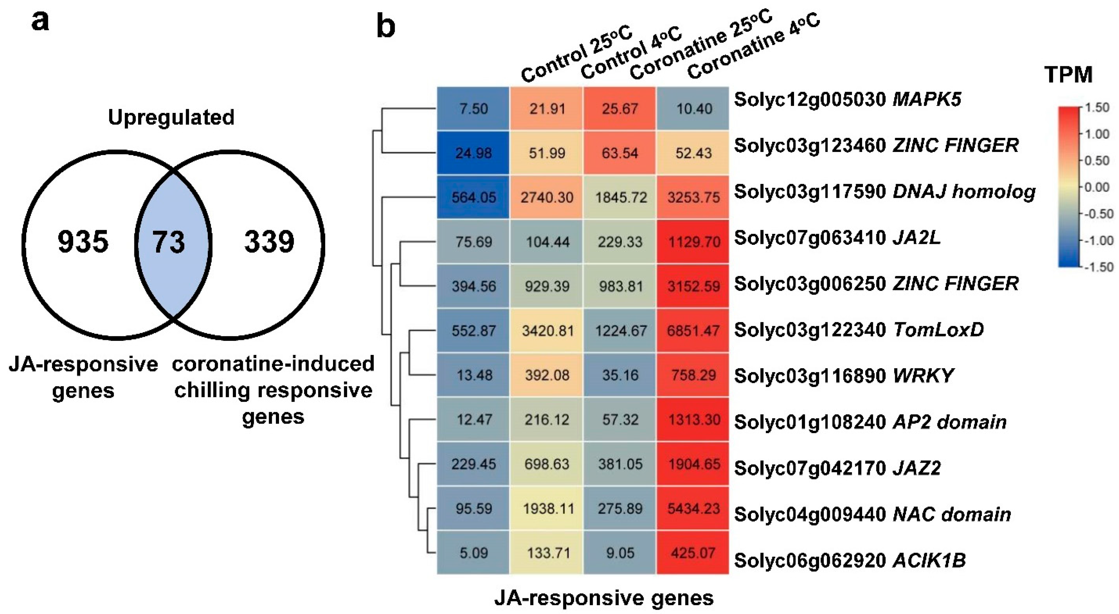 Ijms 23 10049 g006 550