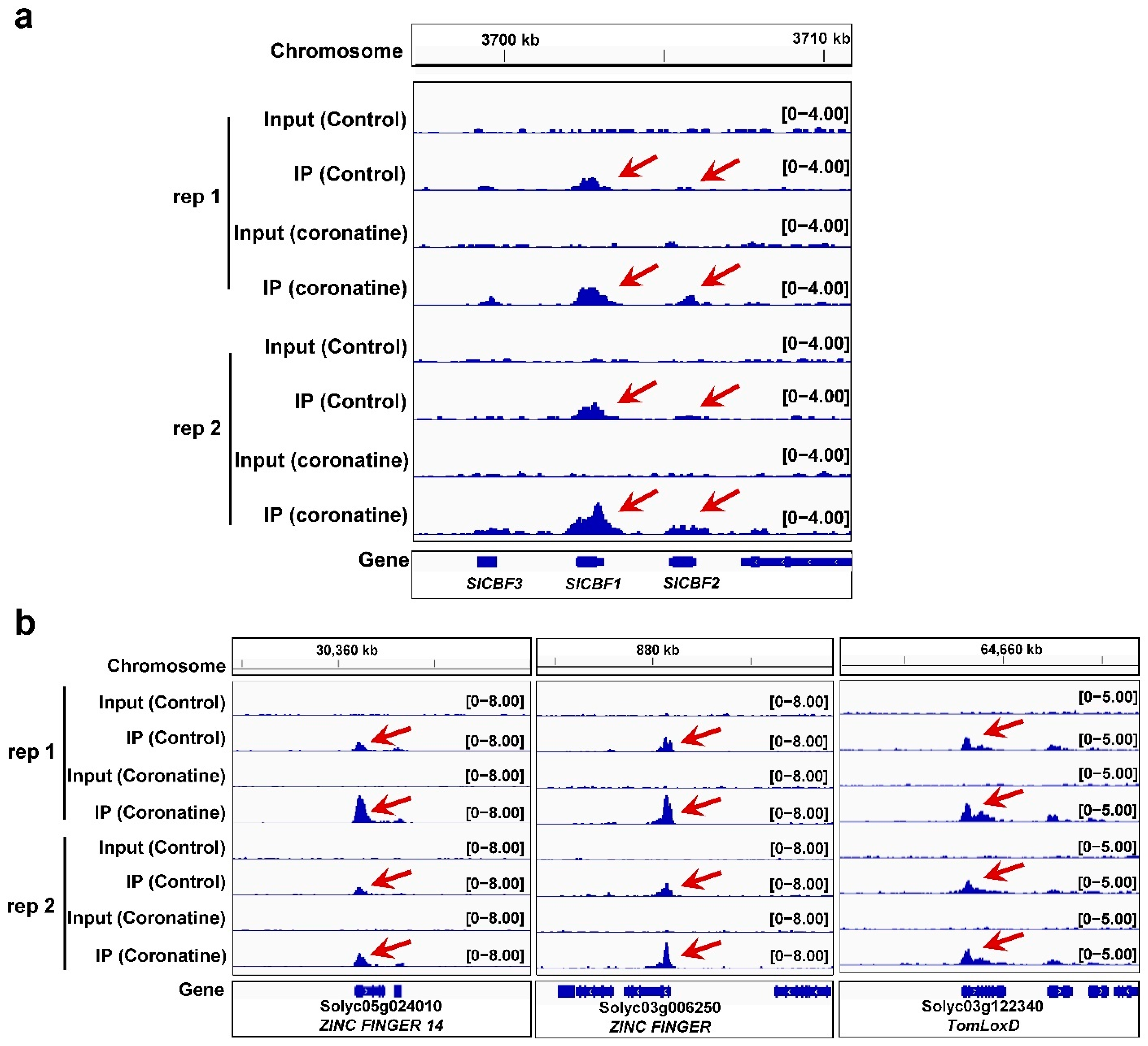 Ijms 23 10049 g009 550