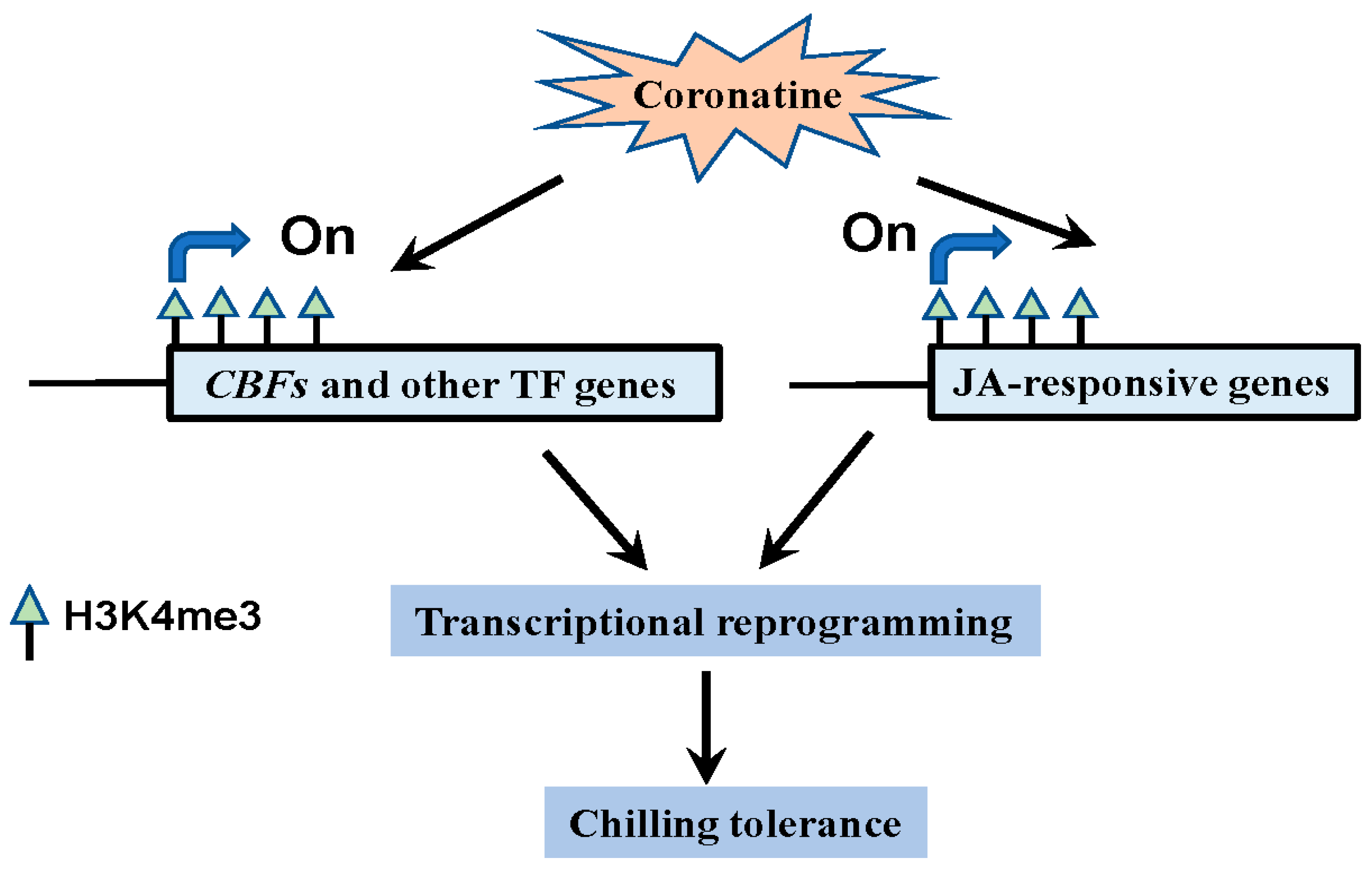 Ijms 23 10049 g010 550