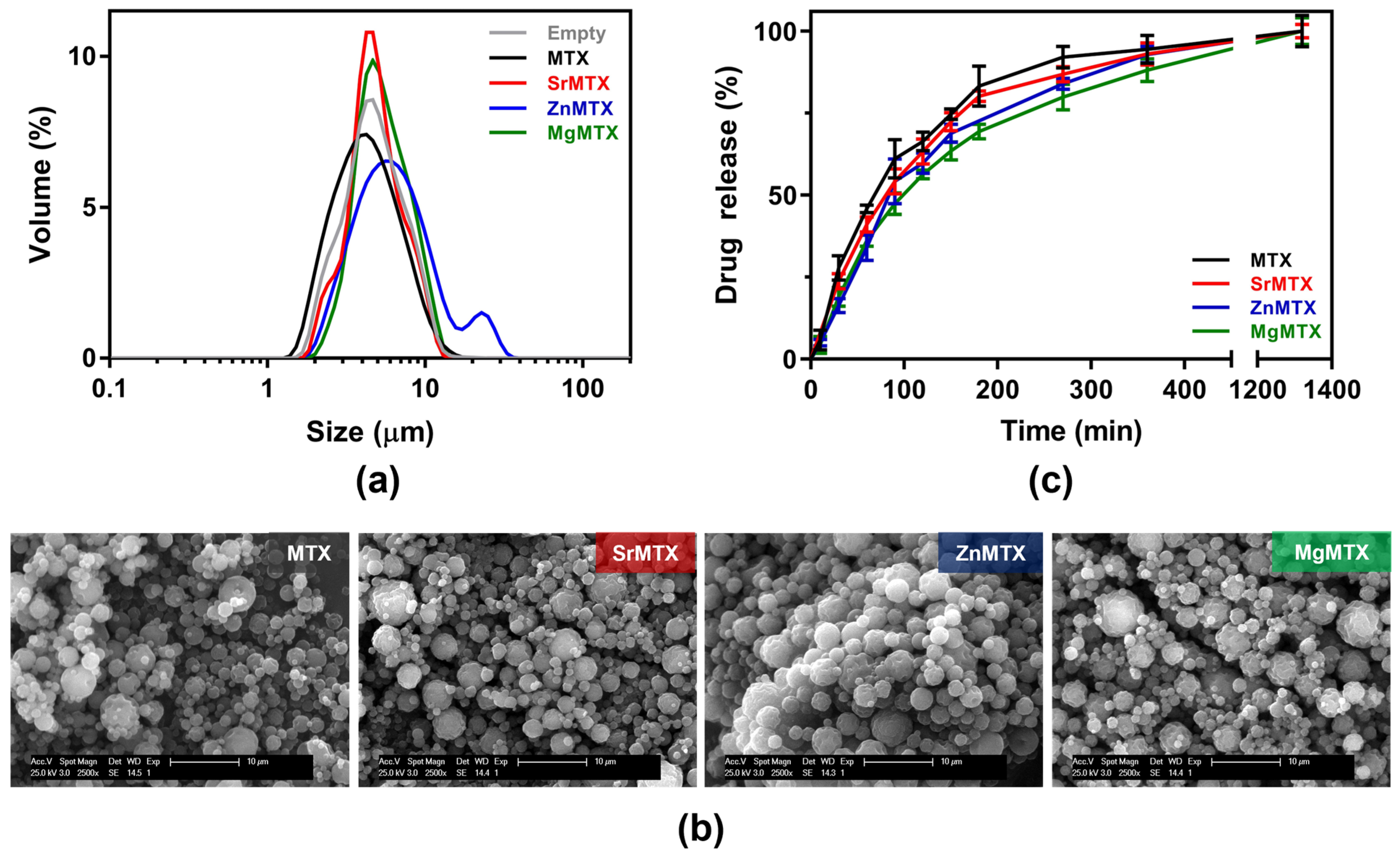 Ijms 23 10054 g008 550
