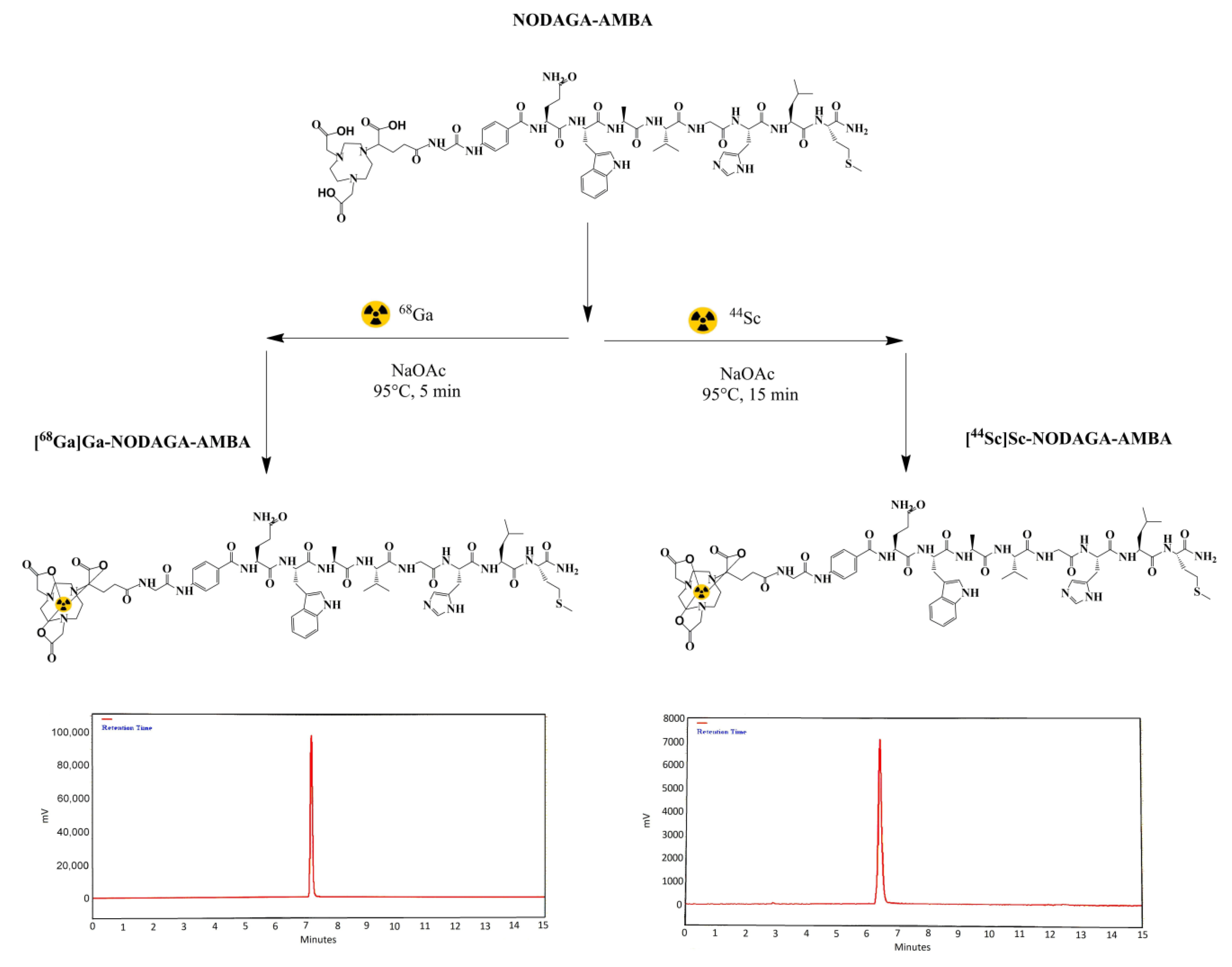 Ijms 23 10061 g001 Ijms 23 10061 g001