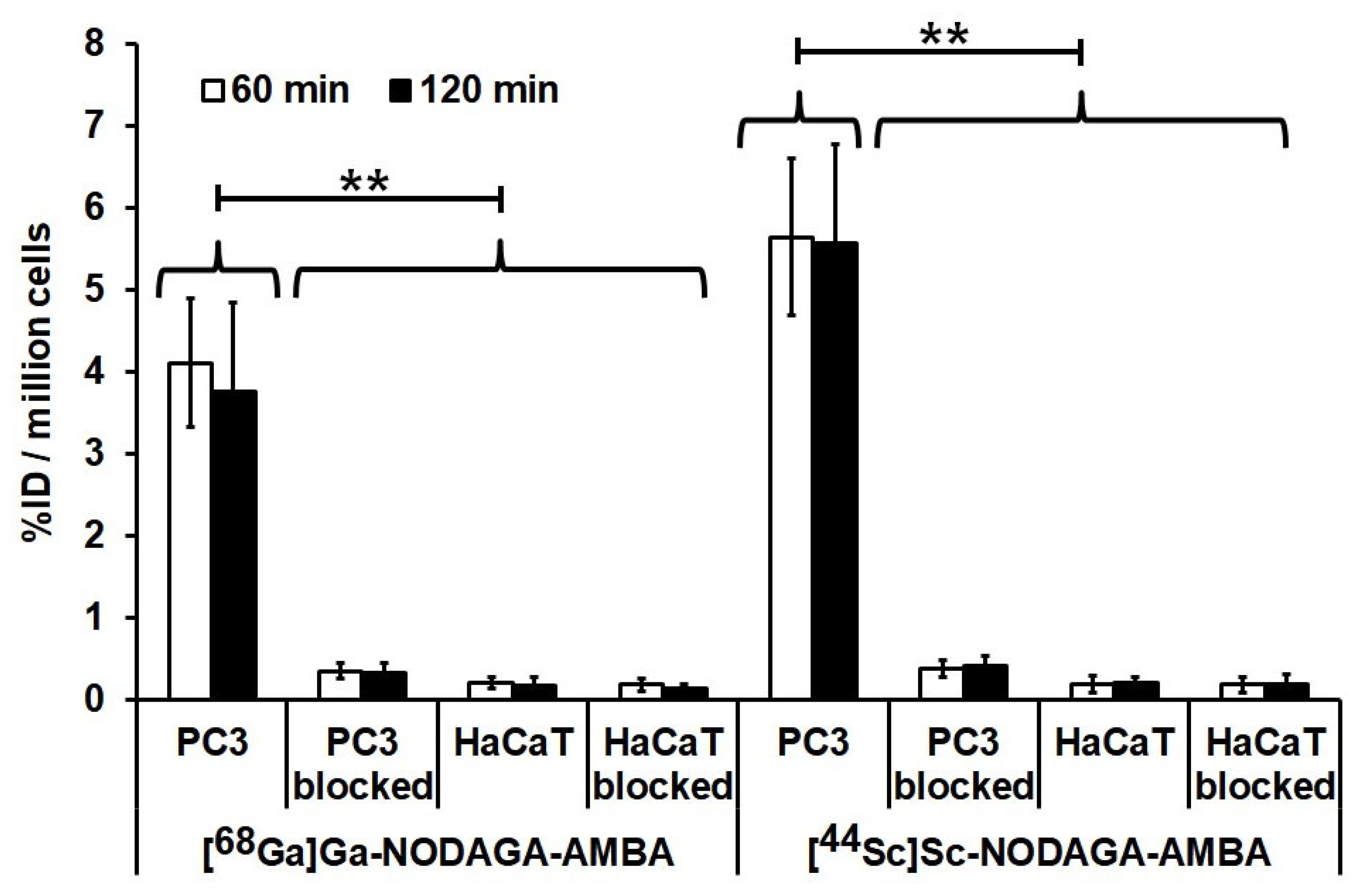 Ijms 23 10061 g002 Ijms 23 10061 g002