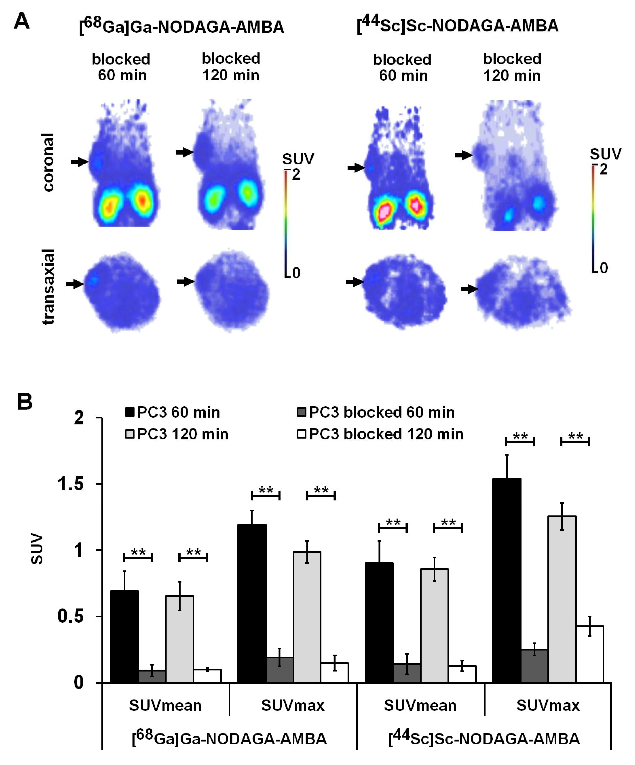 Ijms 23 10061 g005 Ijms 23 10061 g005