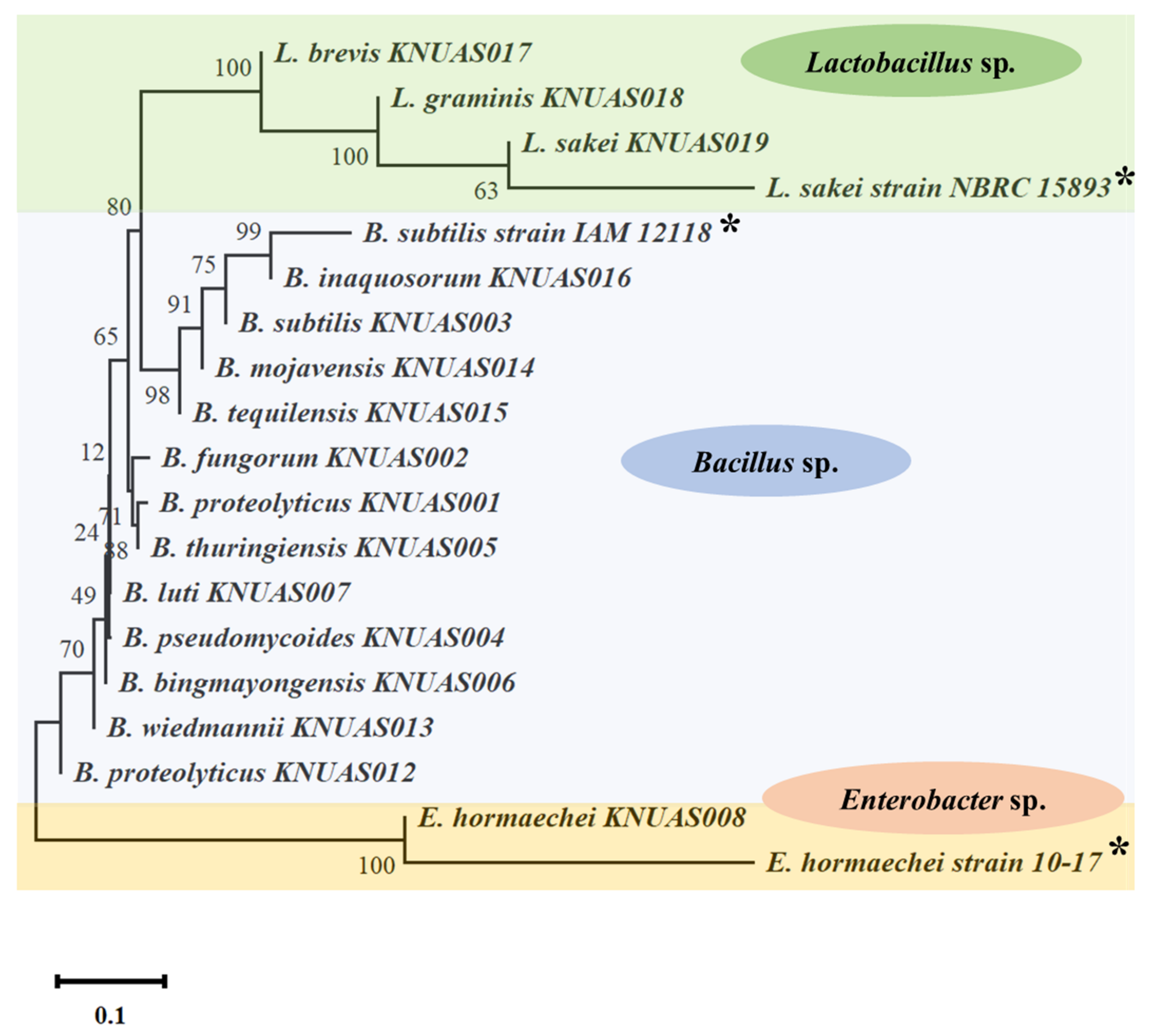 Ijms 23 10062 g001 550