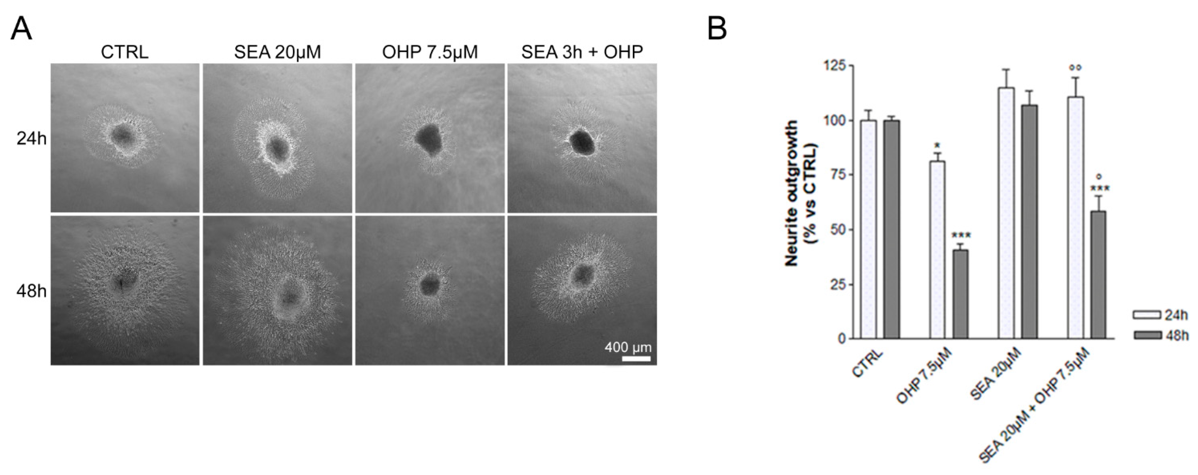 Ijms 23 10063 g001 Ijms 23 10063 g001