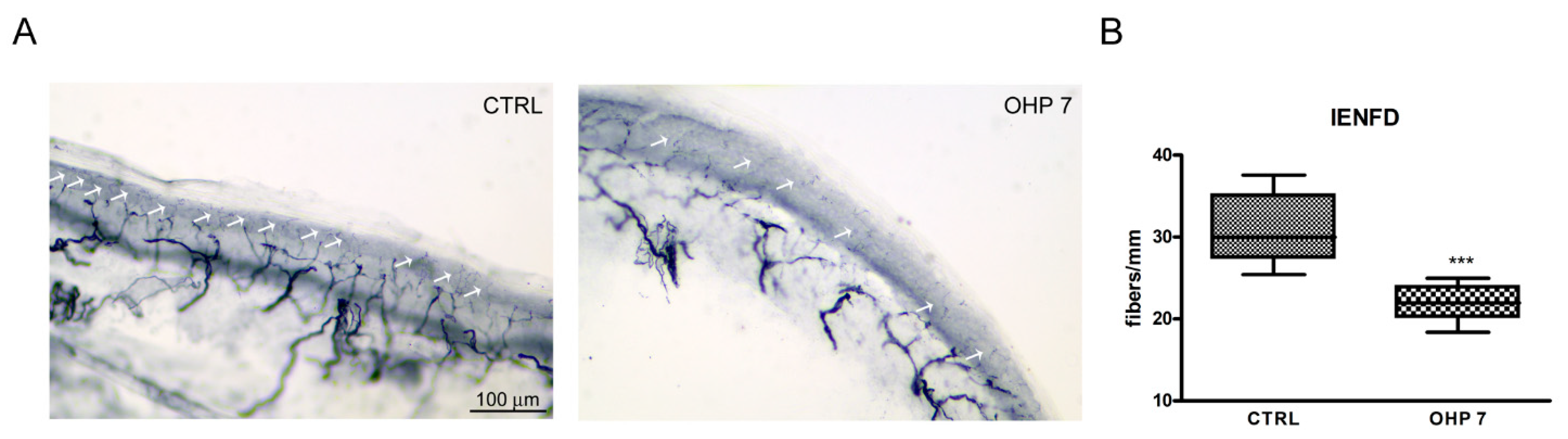 Ijms 23 10063 g005 Ijms 23 10063 g005