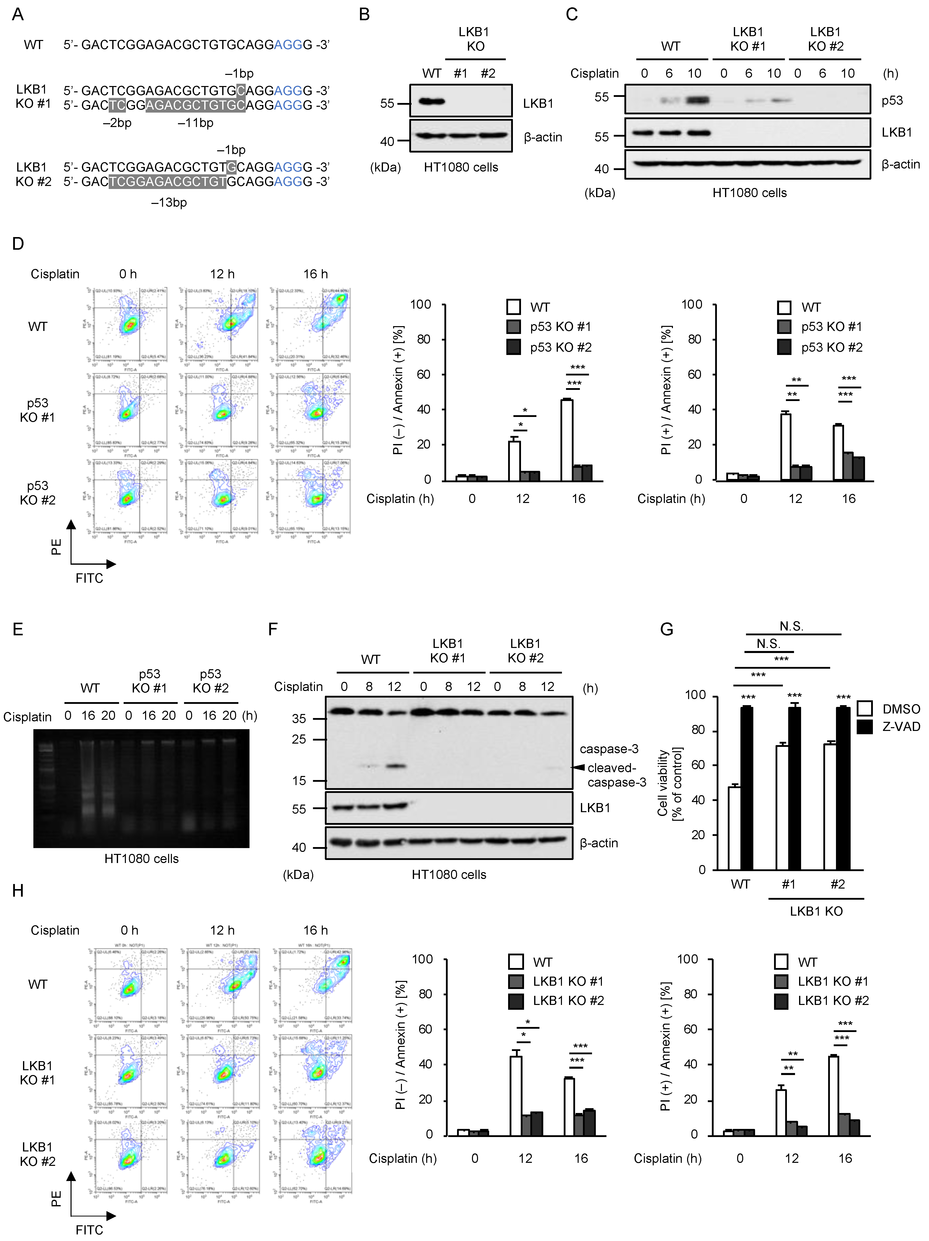 Ijms 23 10064 g001 550