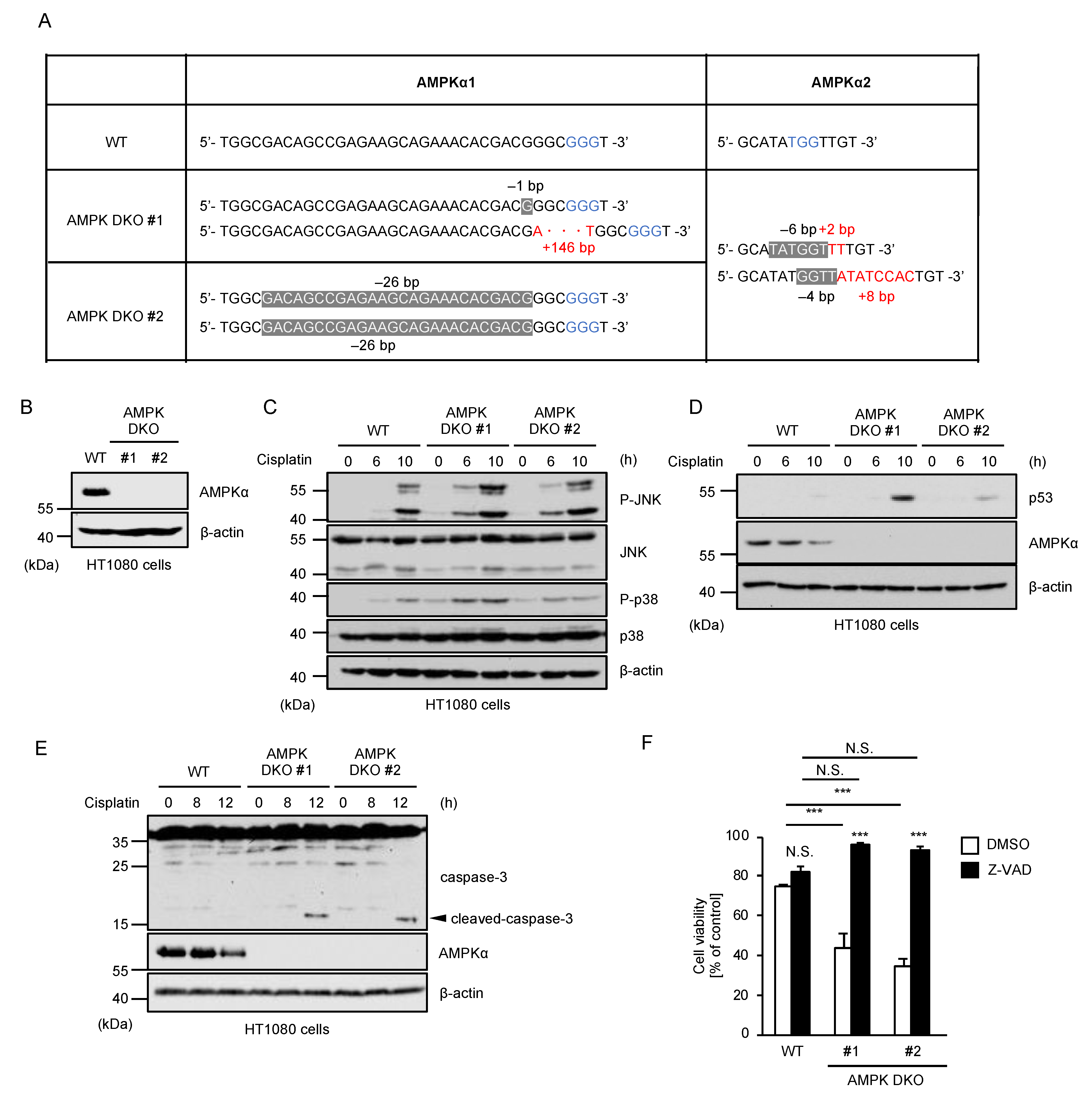 Ijms 23 10064 g003a 550