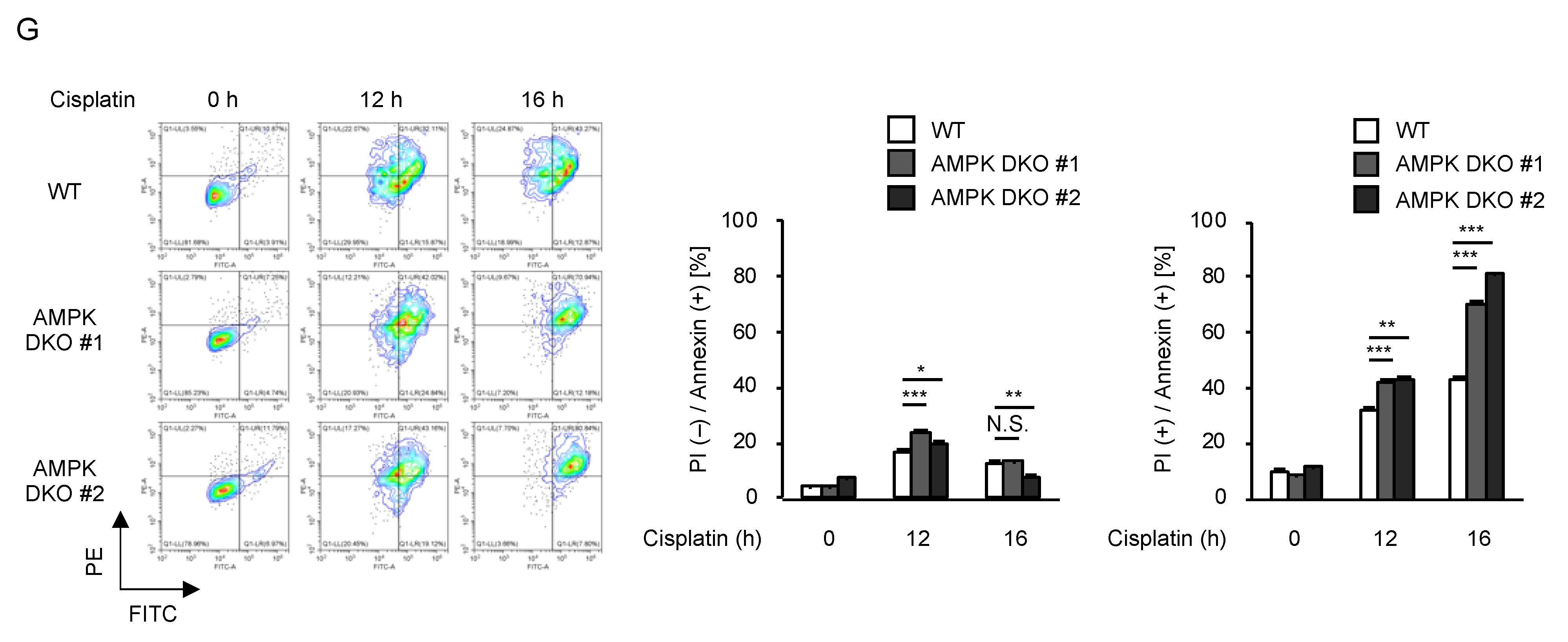 Ijms 23 10064 g003b 550