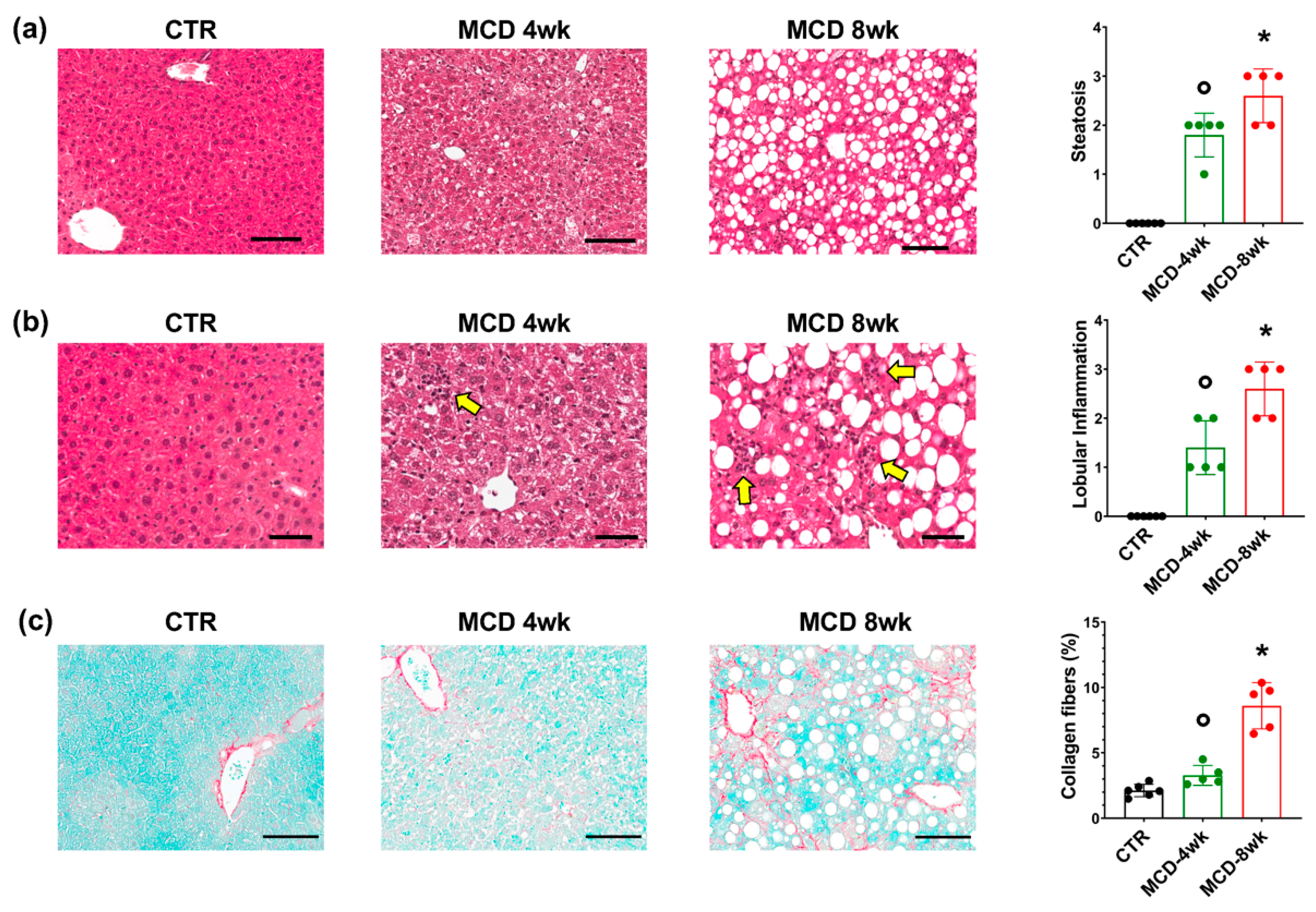 Ijms 23 10065 g001 550