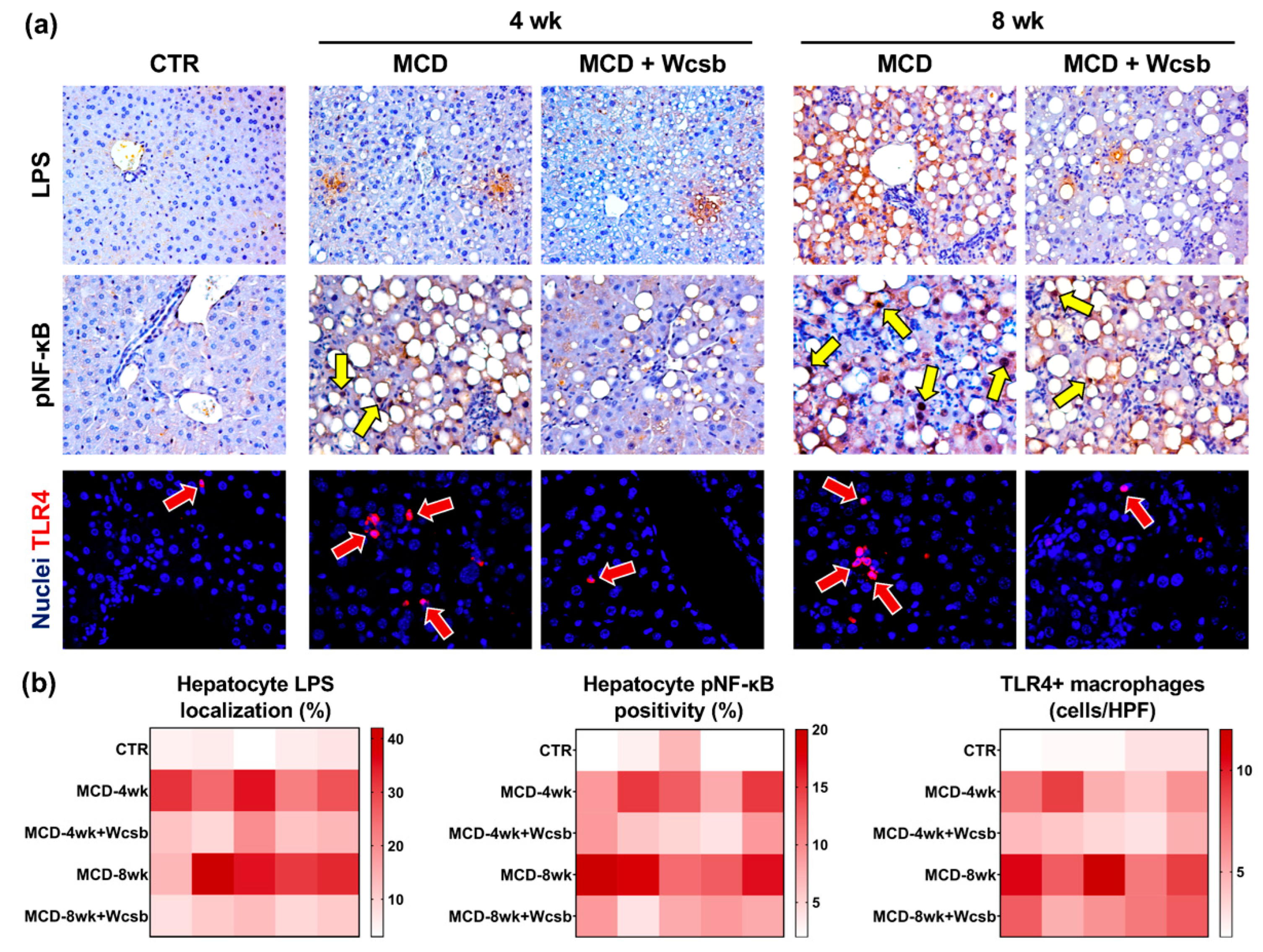 Ijms 23 10065 g004 550