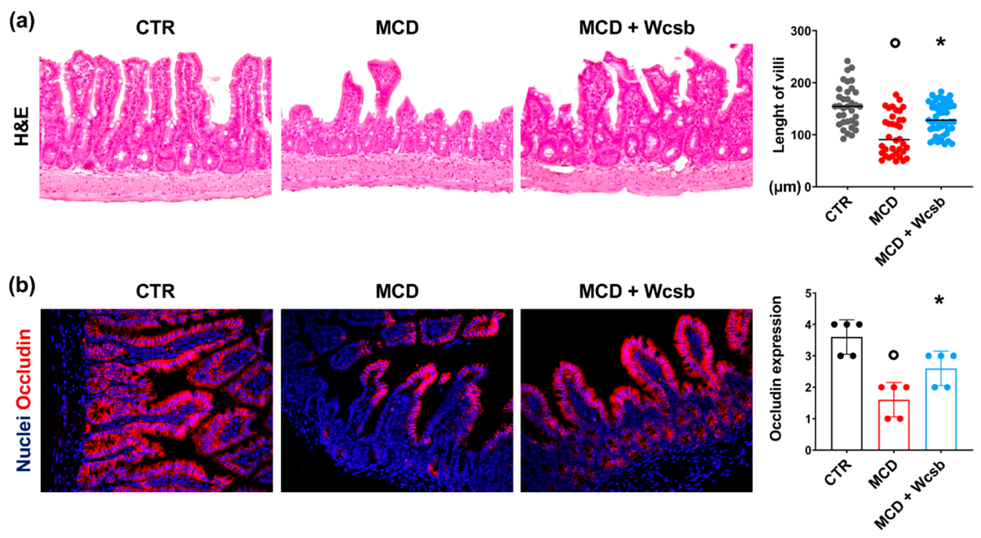Ijms 23 10065 g005 550