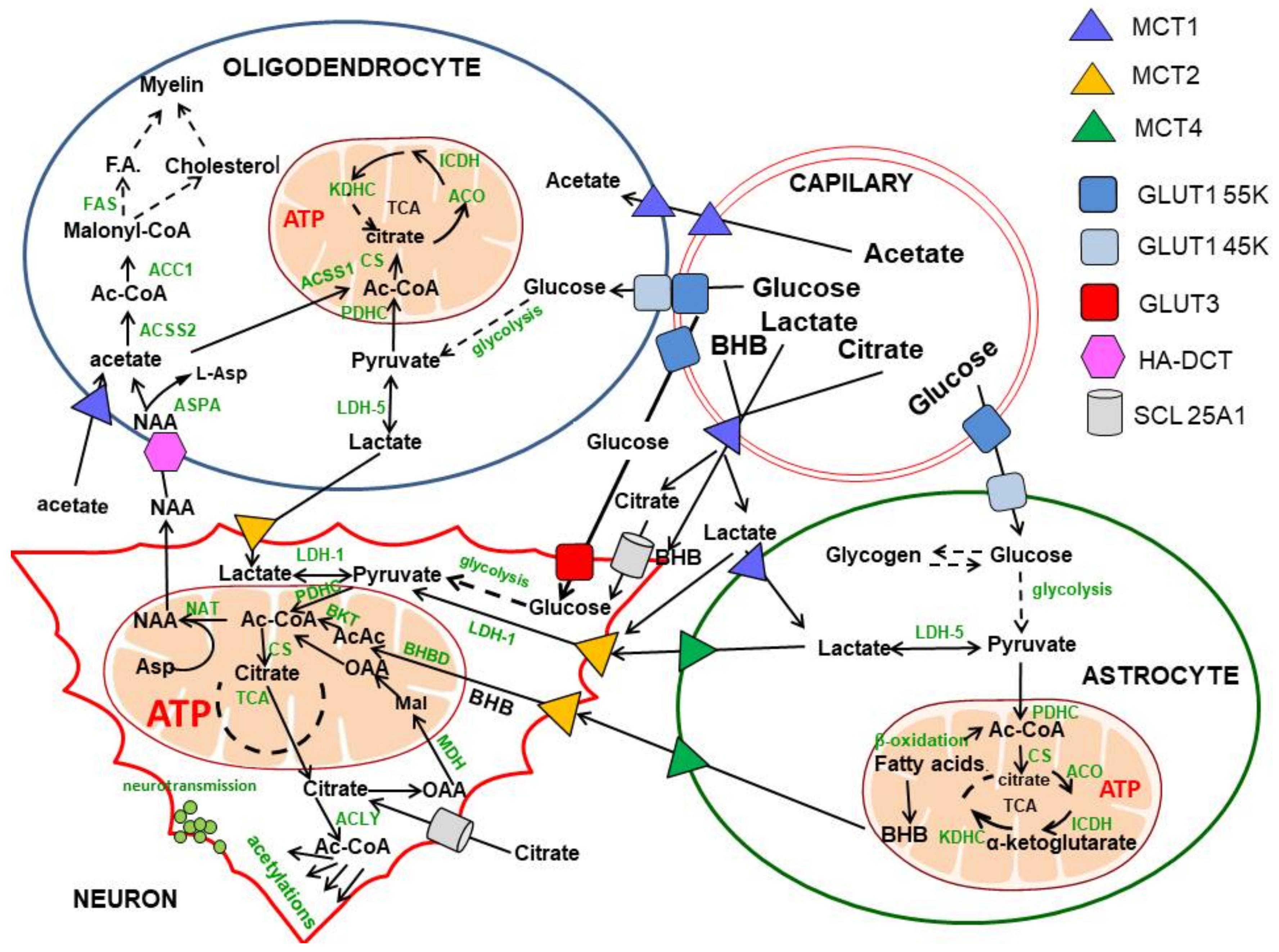 Ijms 23 10073 g001 550