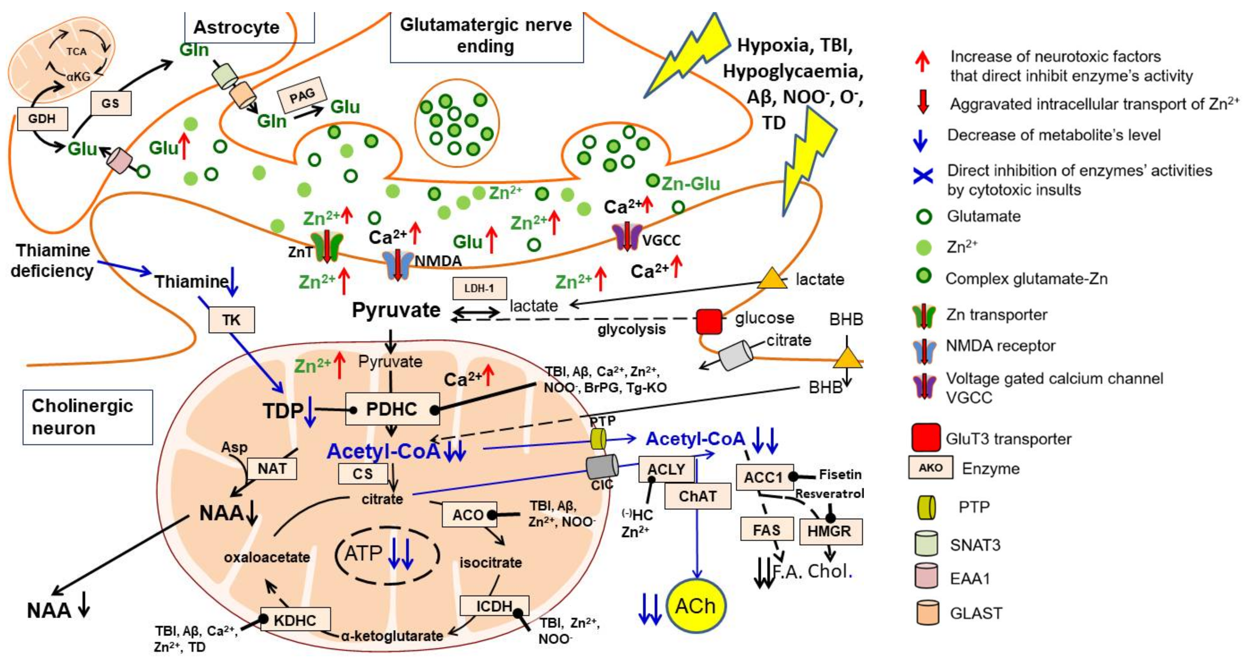 Ijms 23 10073 g002 550