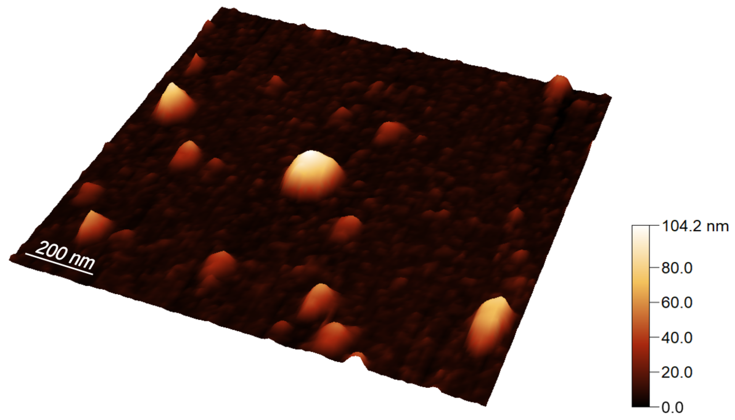 Ijms 23 10074 g001 550