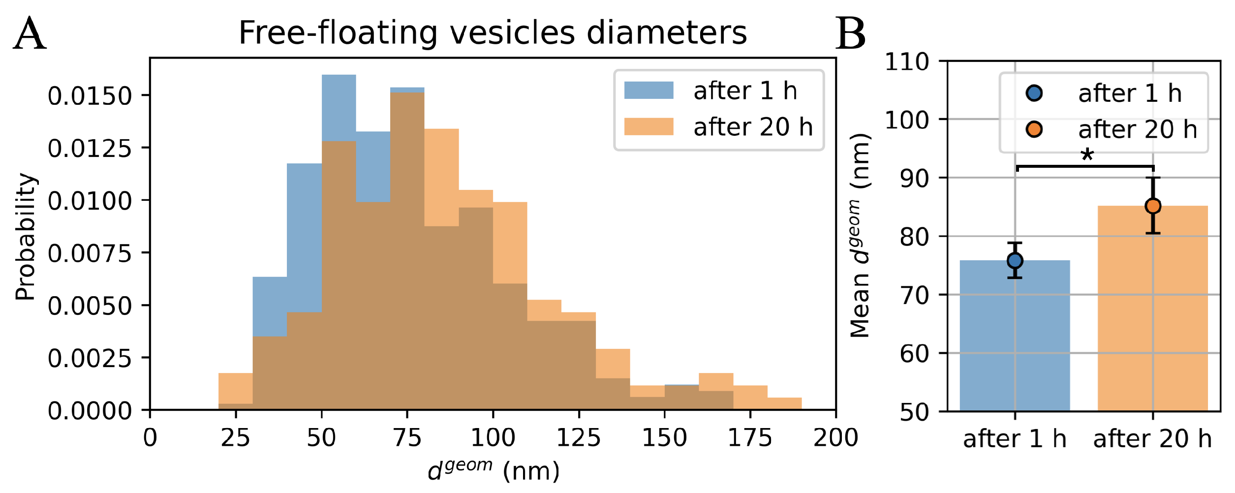 Ijms 23 10074 g002 550