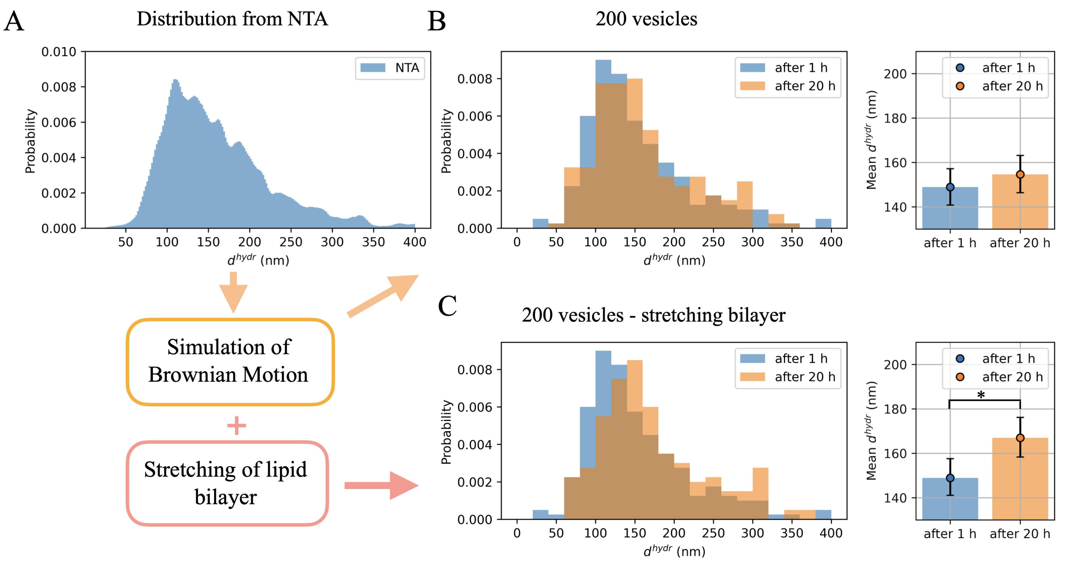 Ijms 23 10074 g003 550