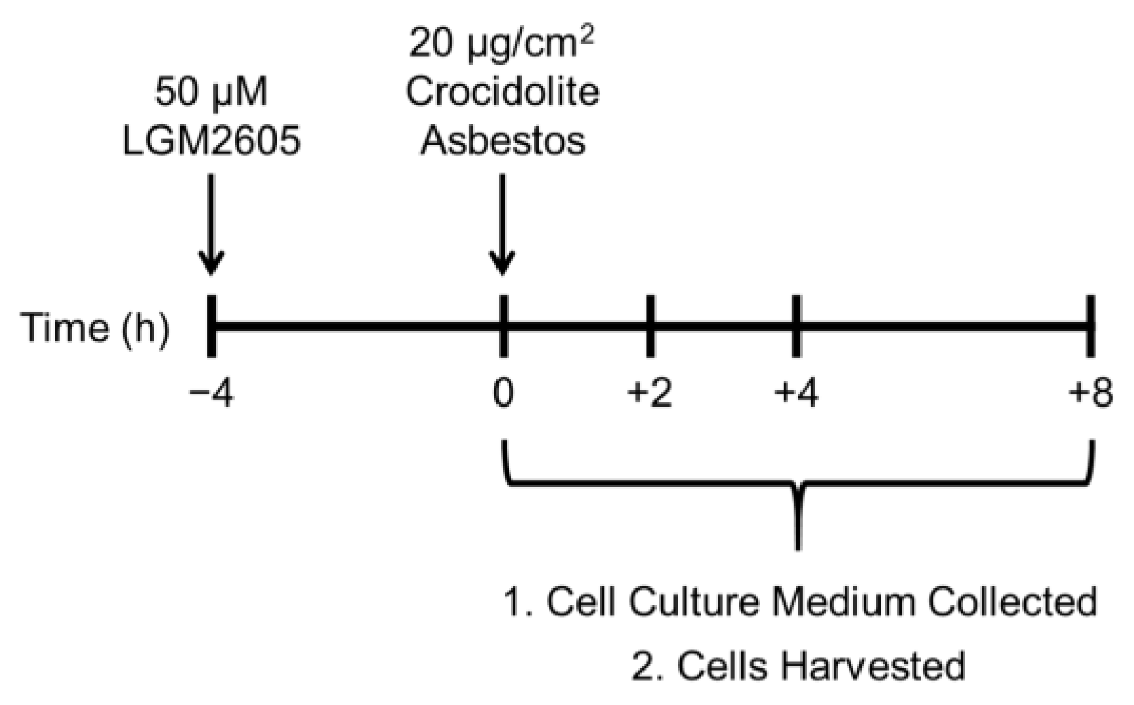 Ijms 23 10085 g001 550