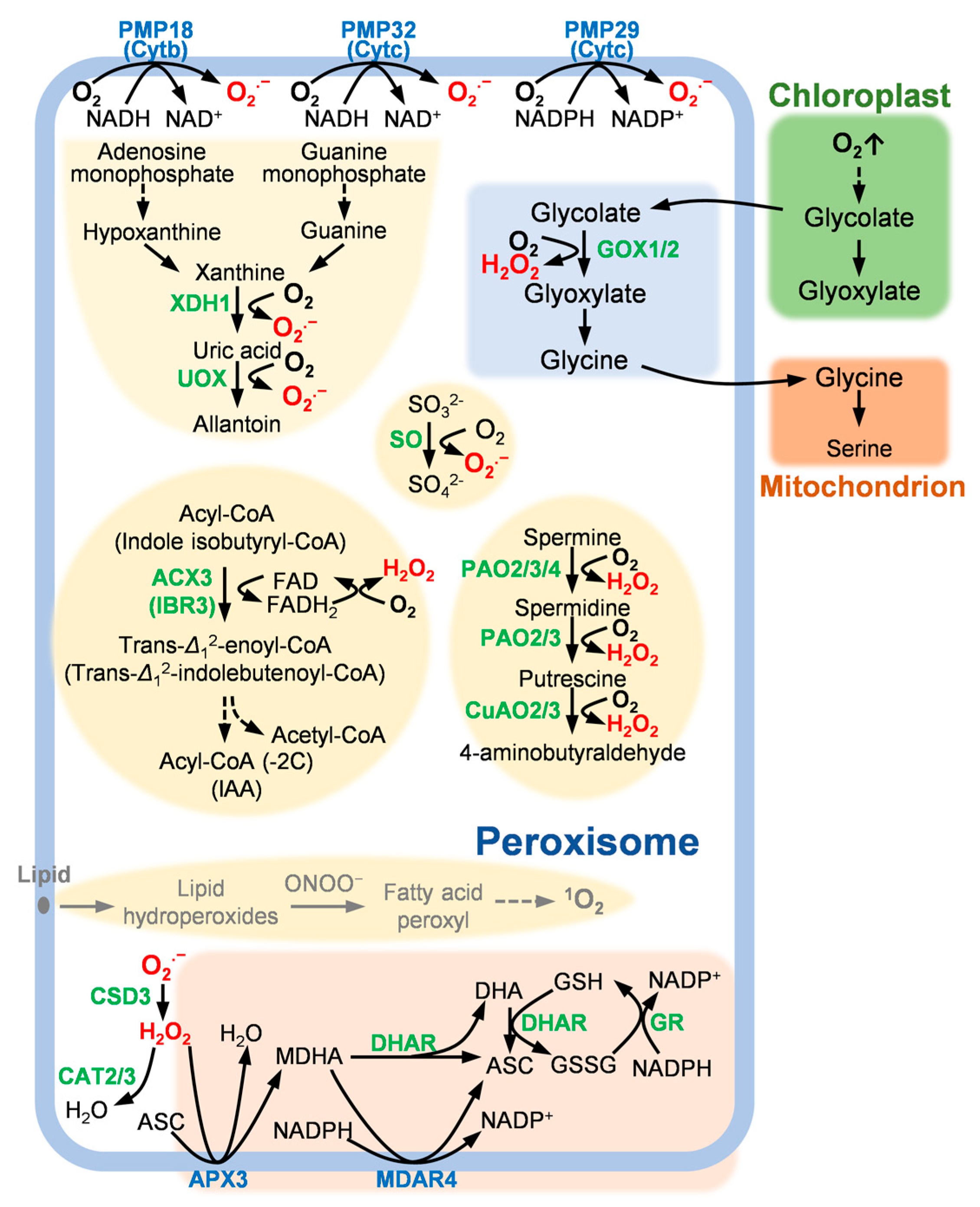 Ijms 23 10087 g001 550