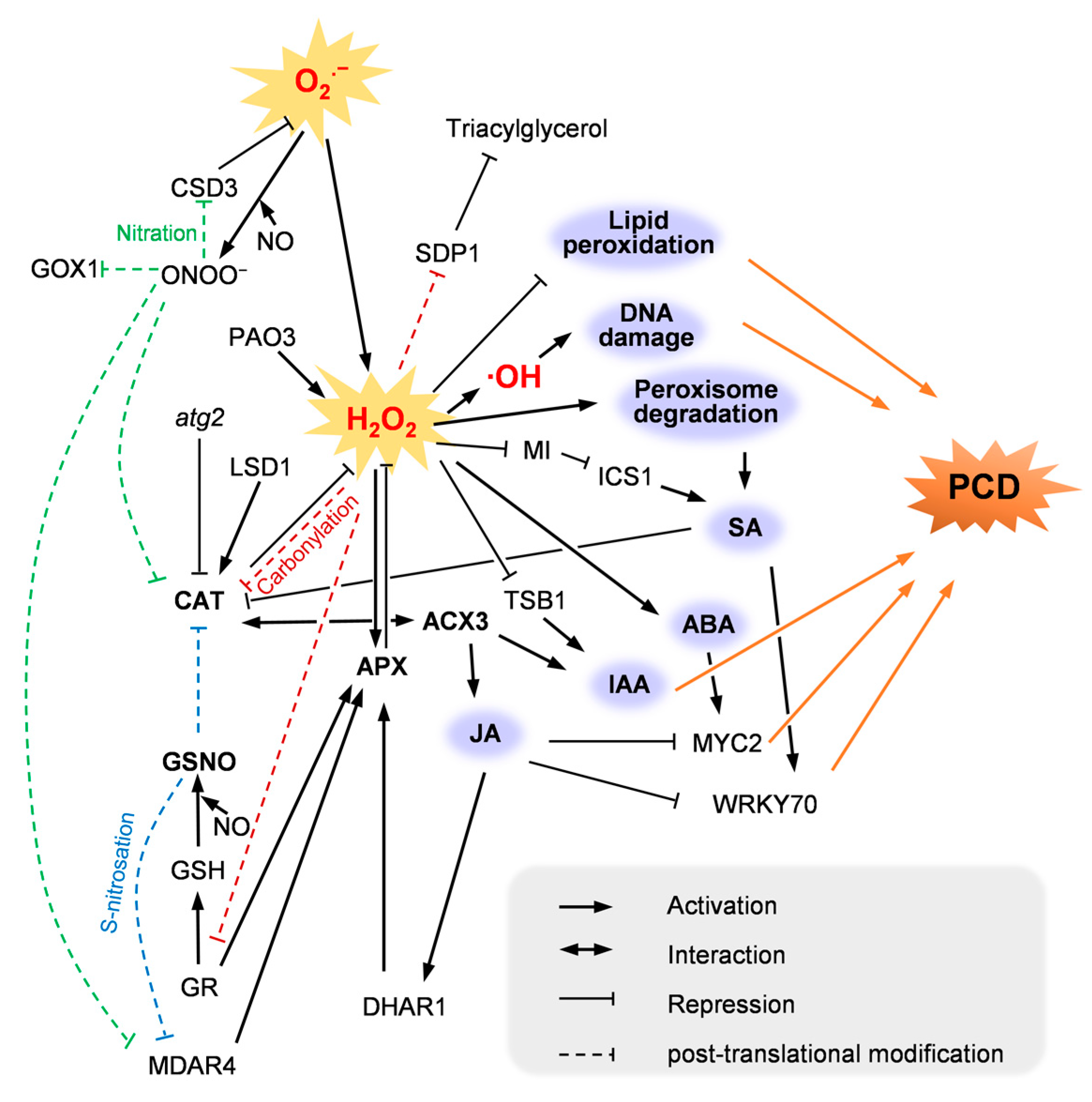 Ijms 23 10087 g002 550