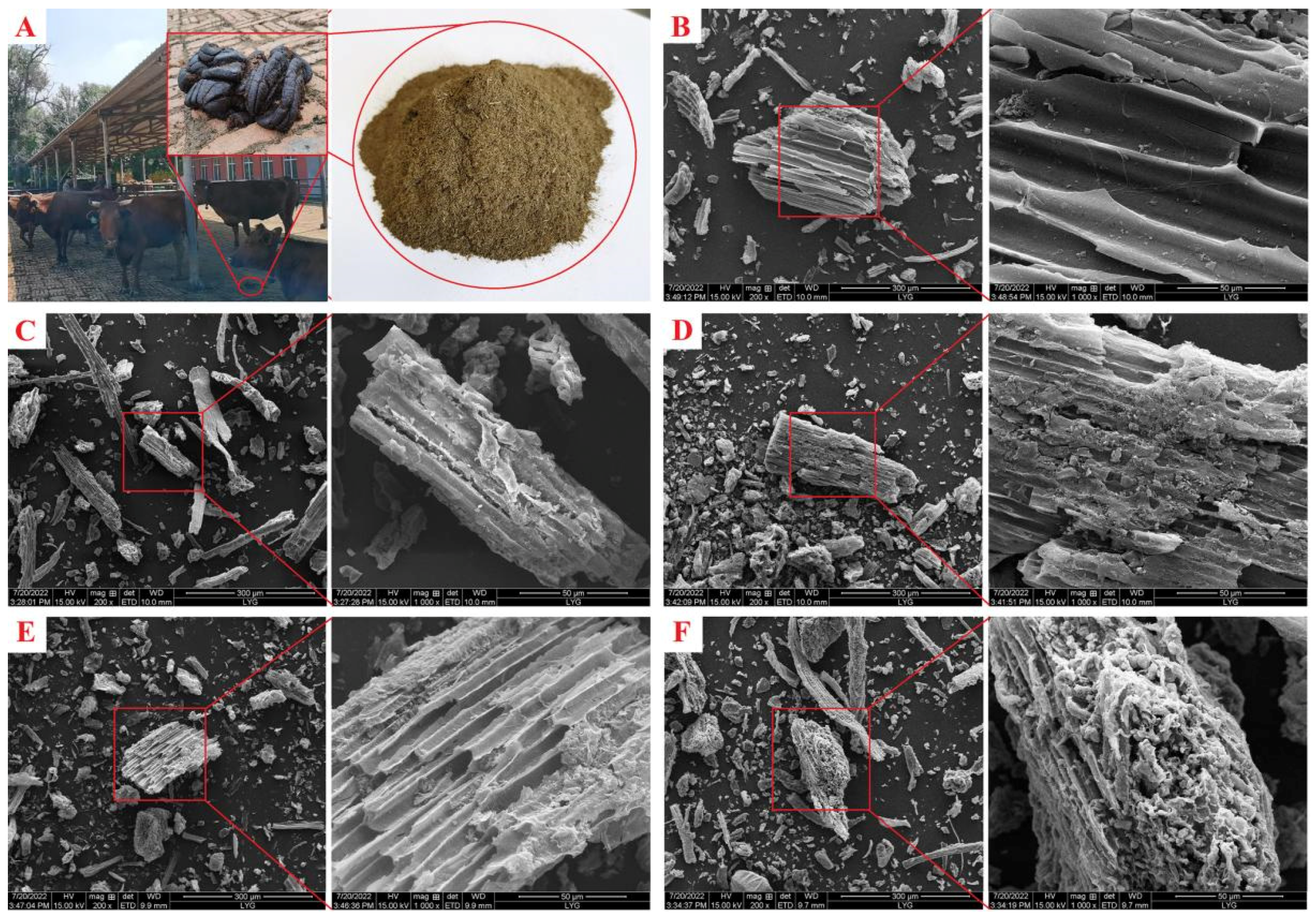 Ijms 23 10094 g001 550