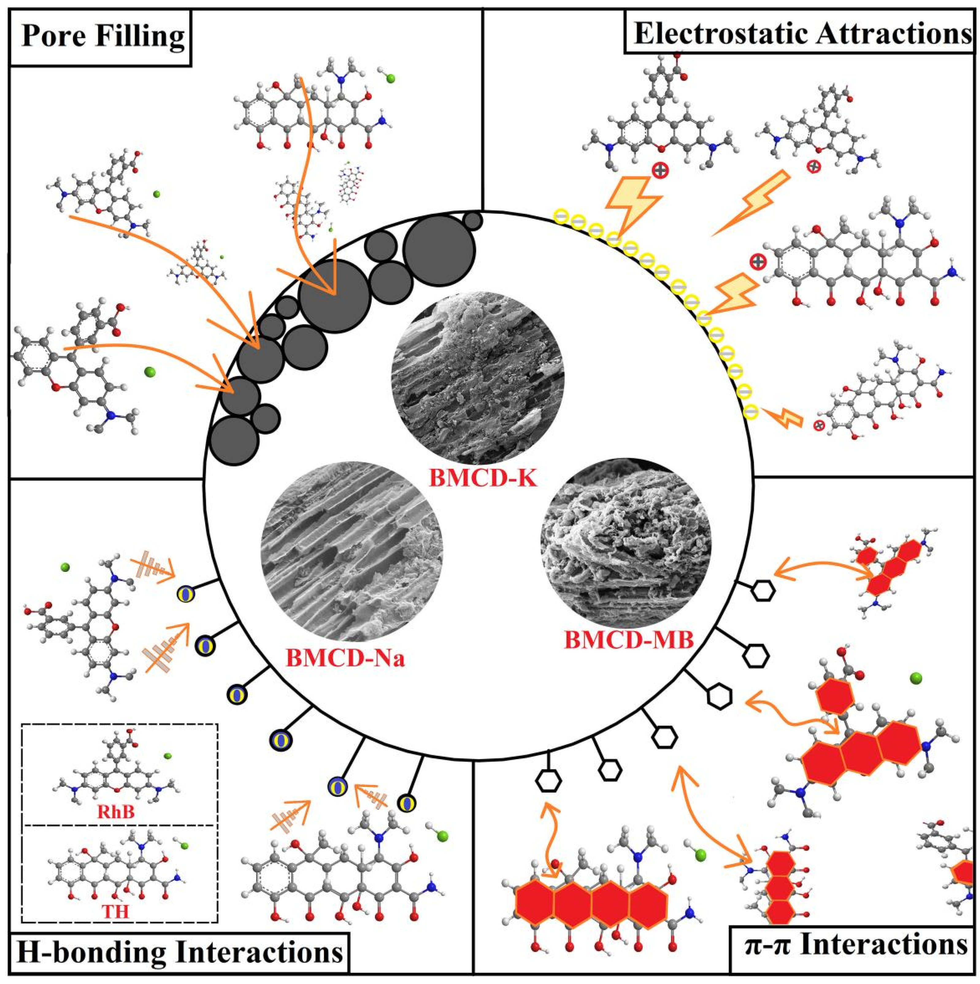 Ijms 23 10094 g011 550