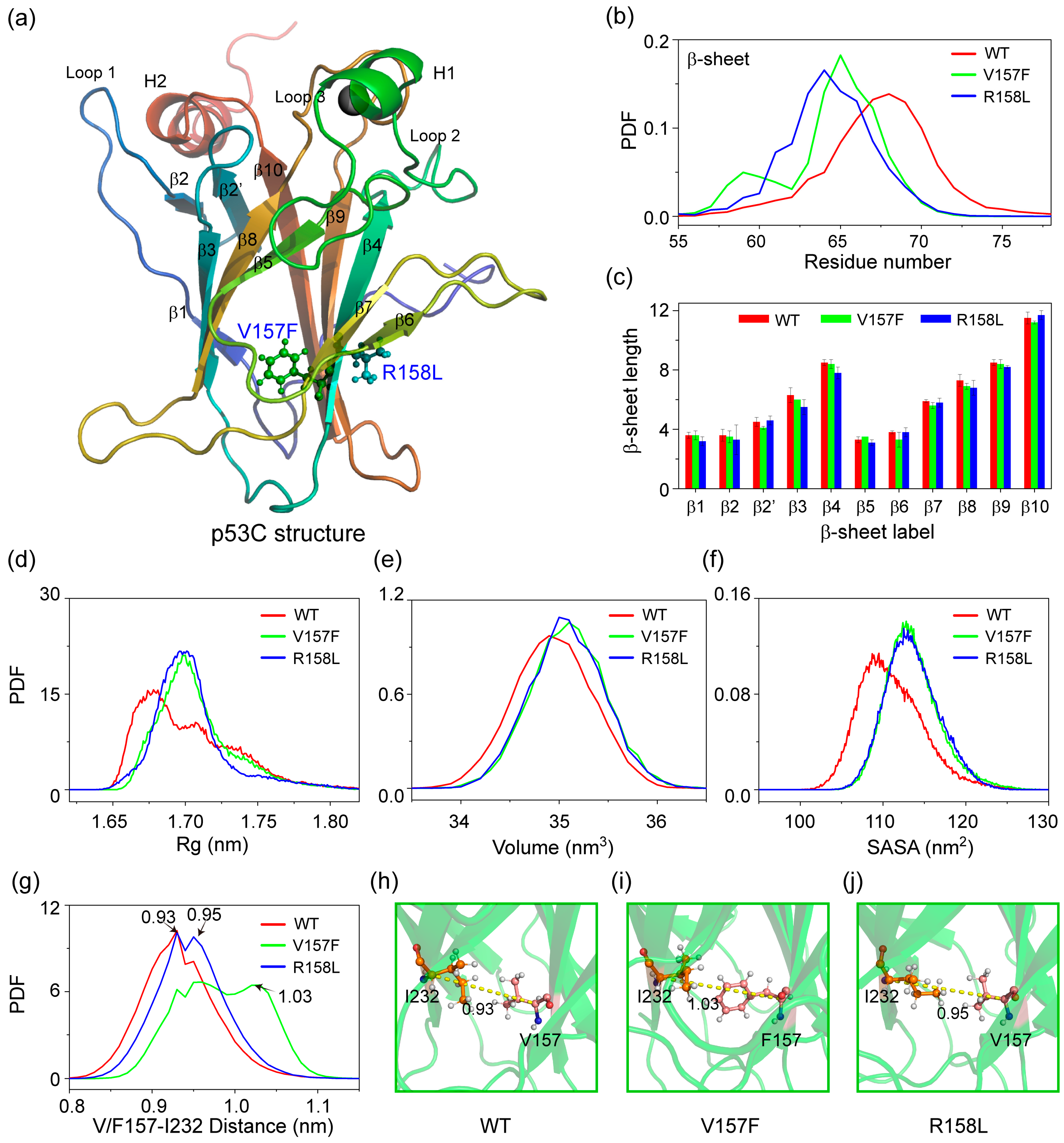 Ijms 23 10100 g001 550