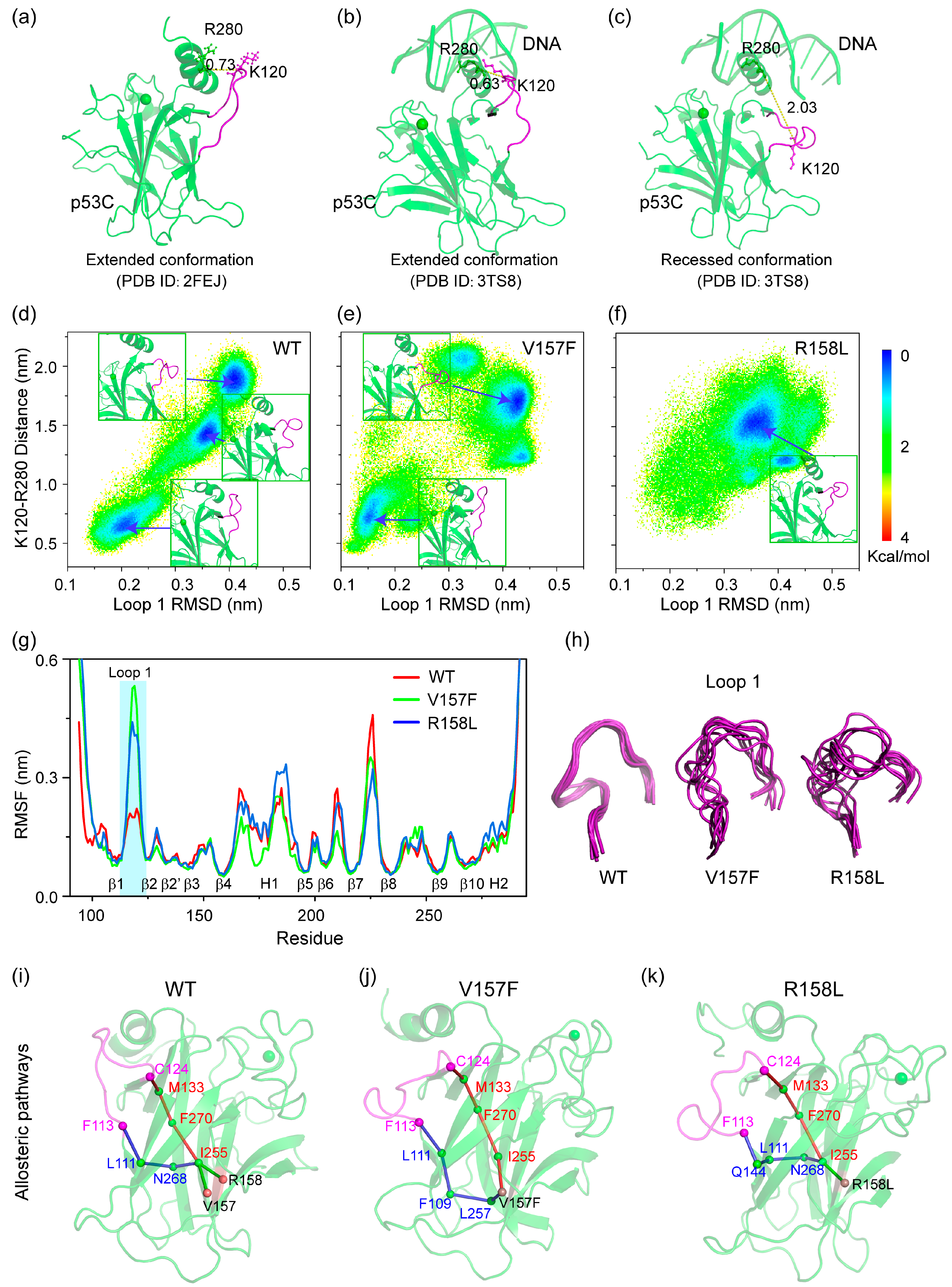 Ijms 23 10100 g003 550
