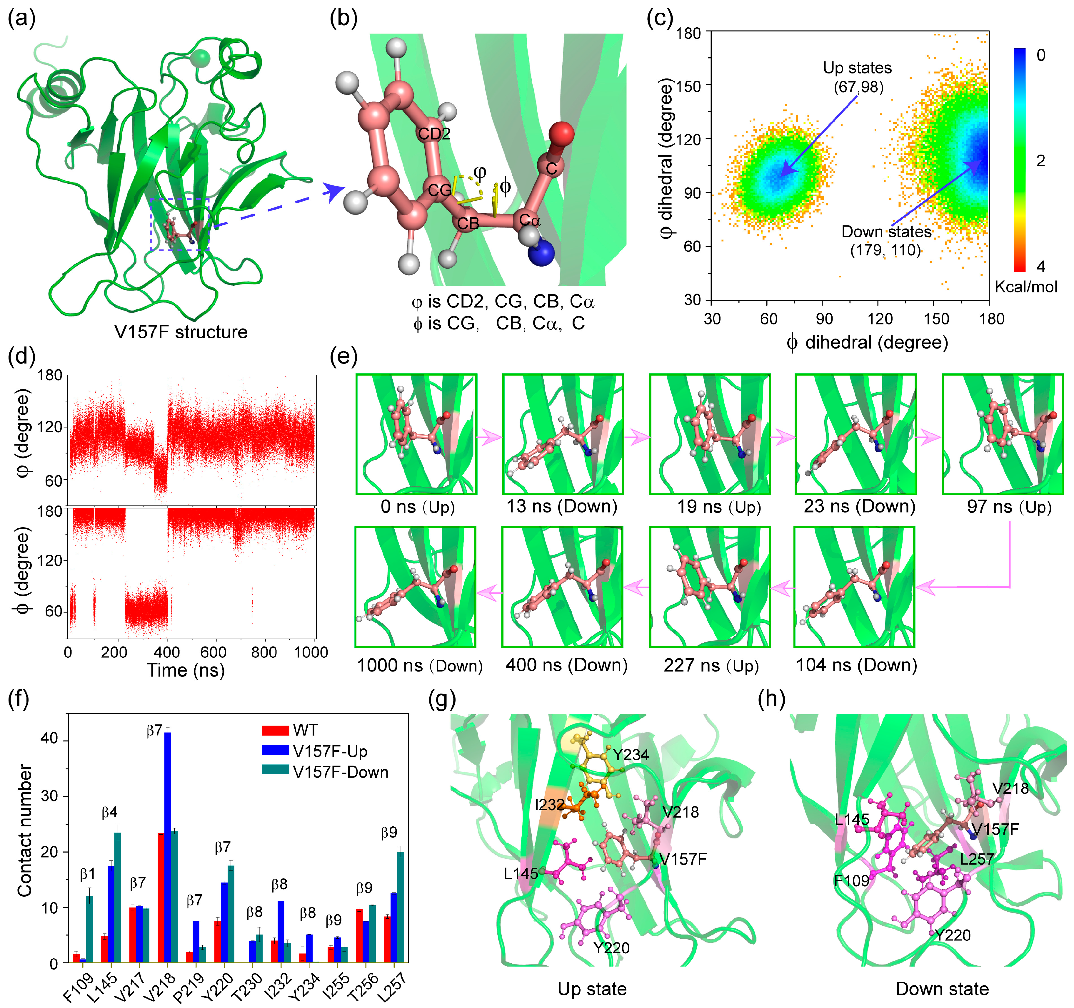 Ijms 23 10100 g004 550