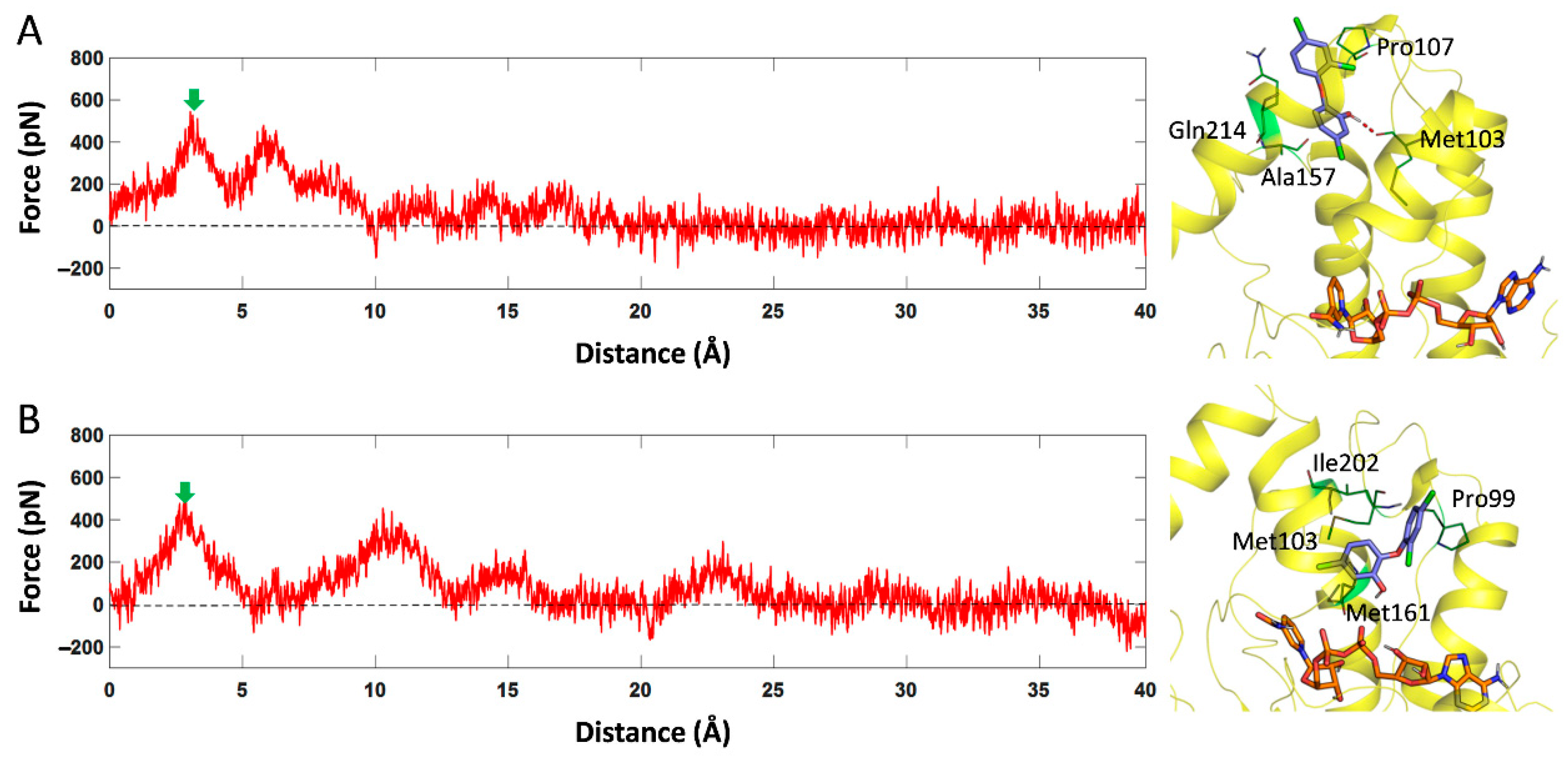 Ijms 23 10102 g006 550