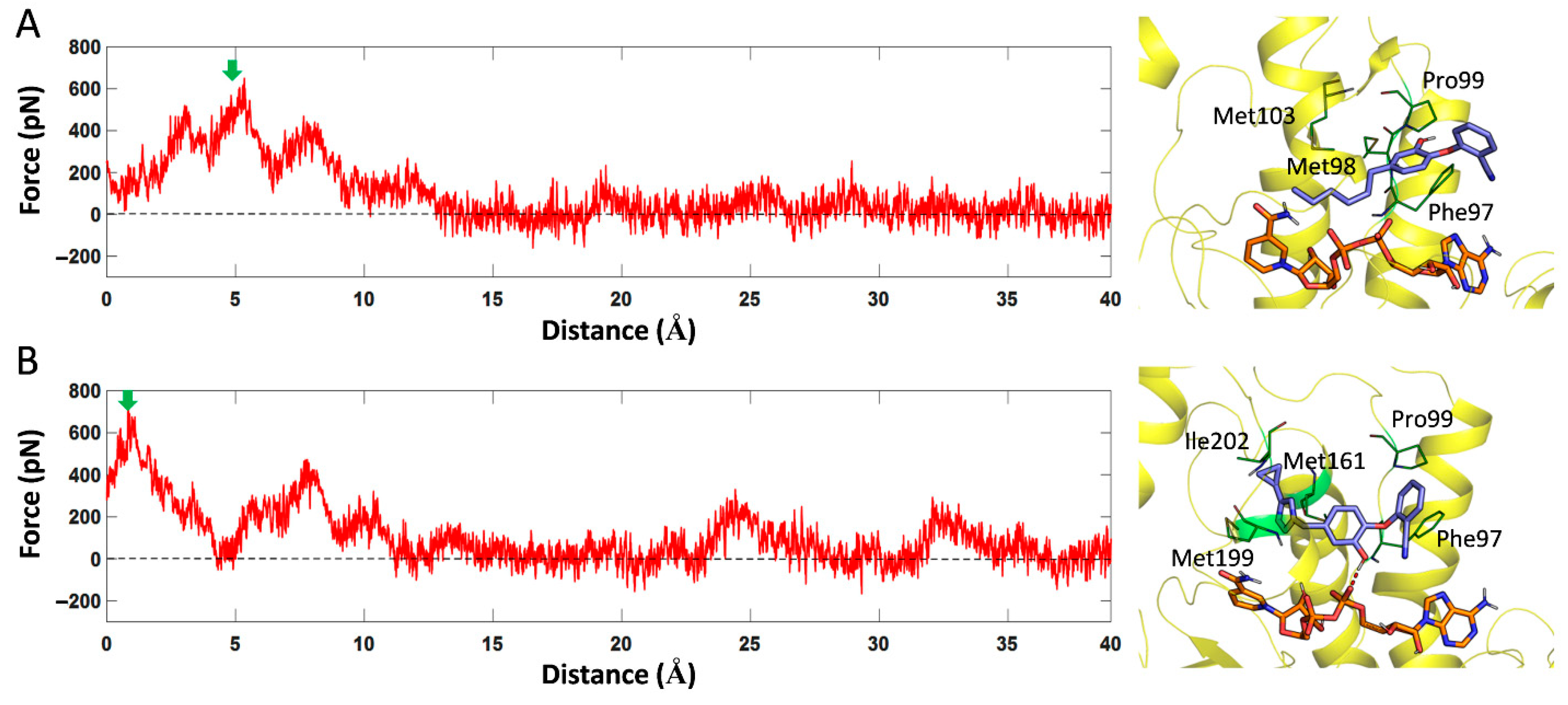 Ijms 23 10102 g008 550