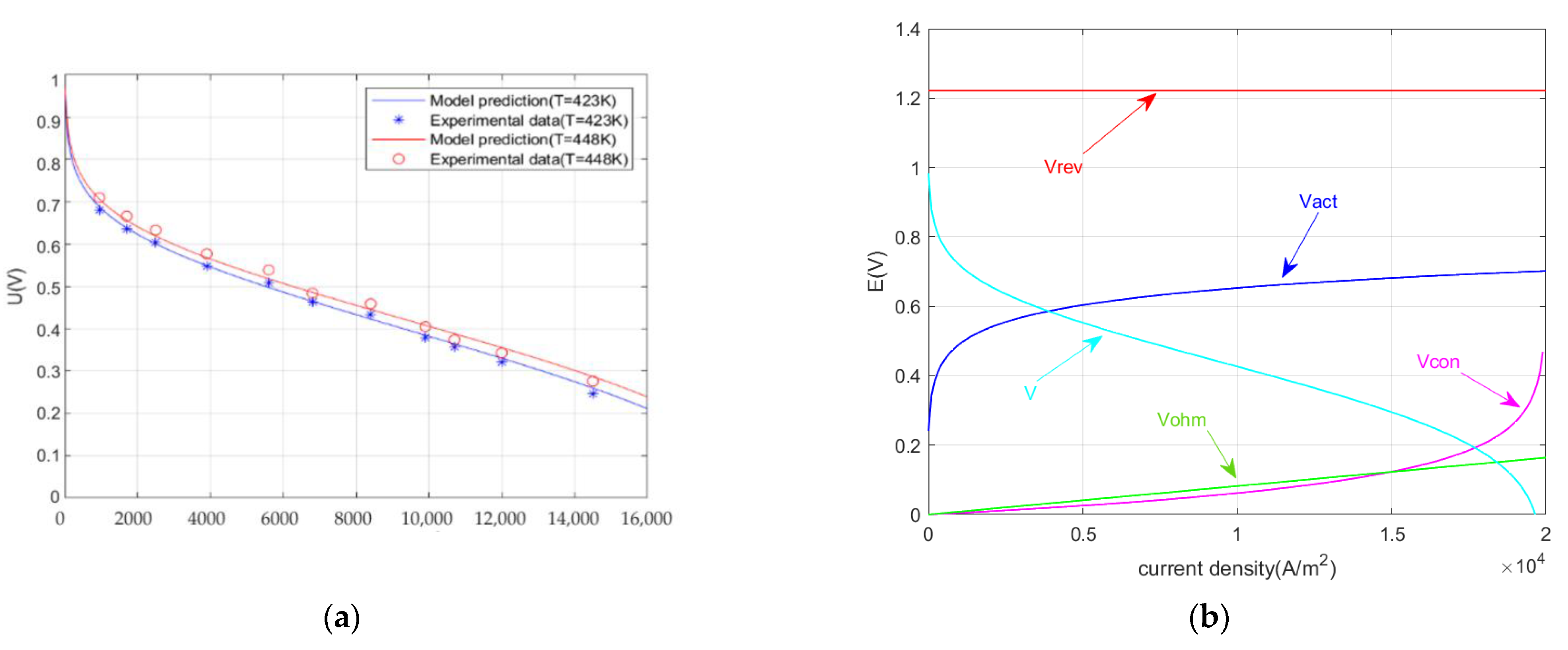 Ijms 23 10111 g001 550