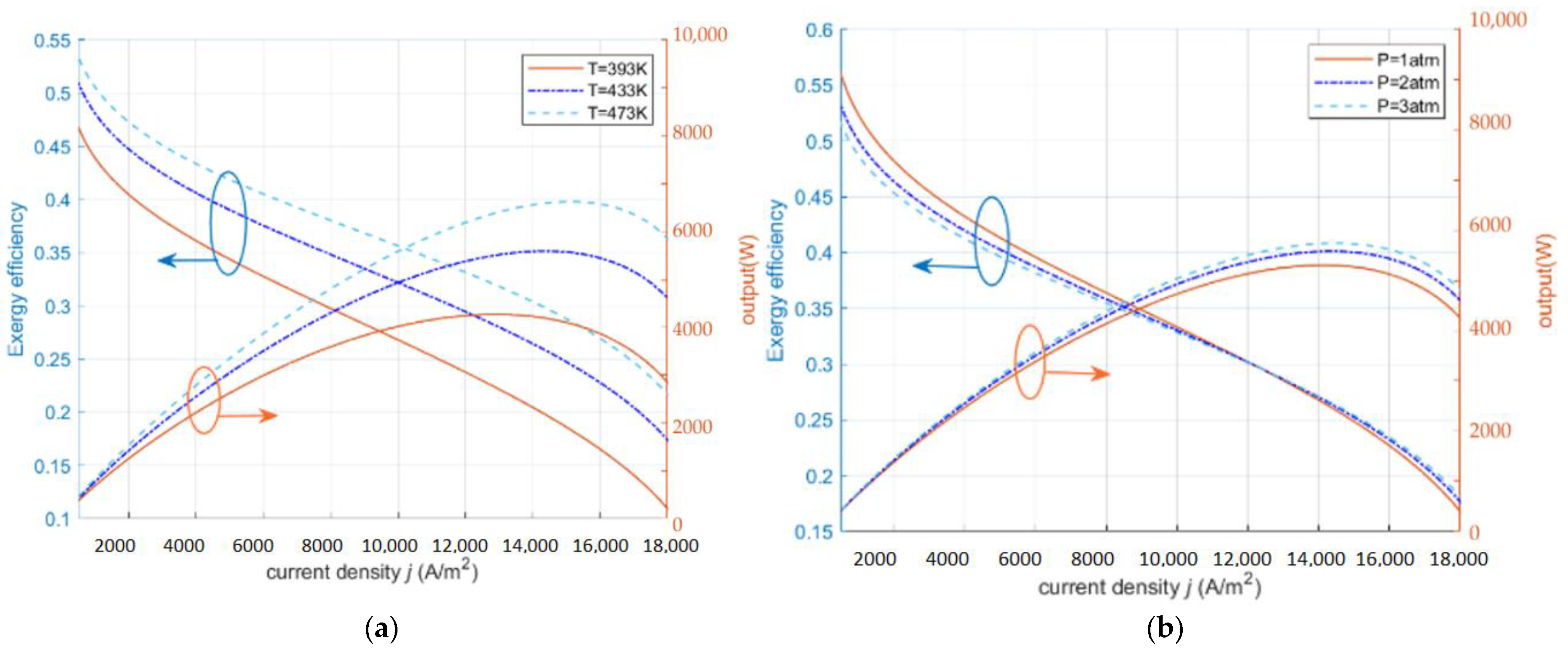 Ijms 23 10111 g002 550